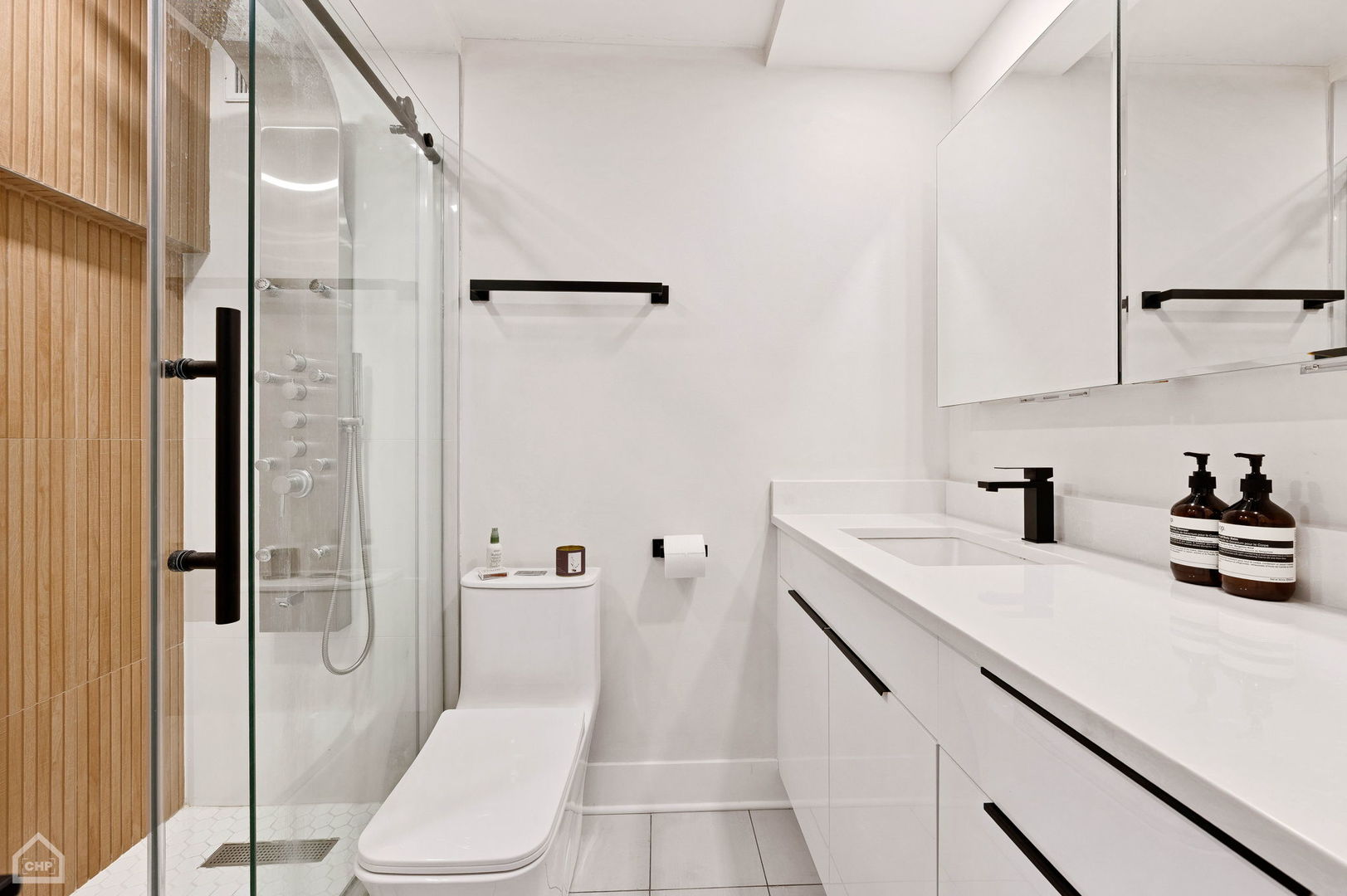 1560 N Sandburg Terrace Unit: 2810J