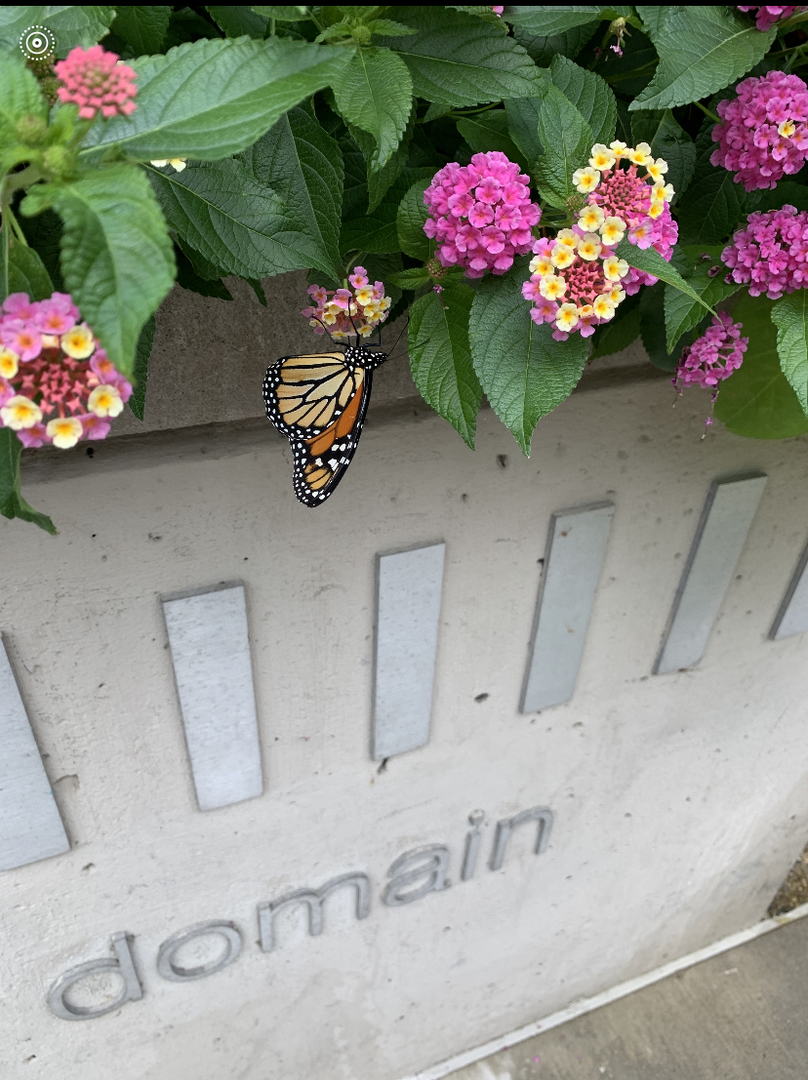 900 N KINGSBURY Street Unit: 835