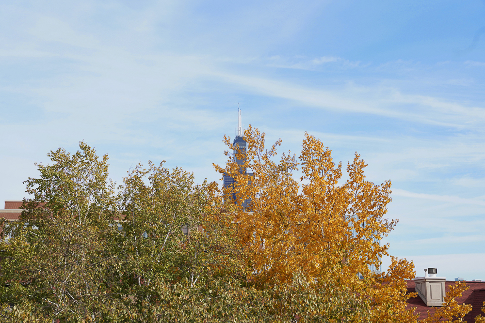 1330 W Monroe Street Unit: 310