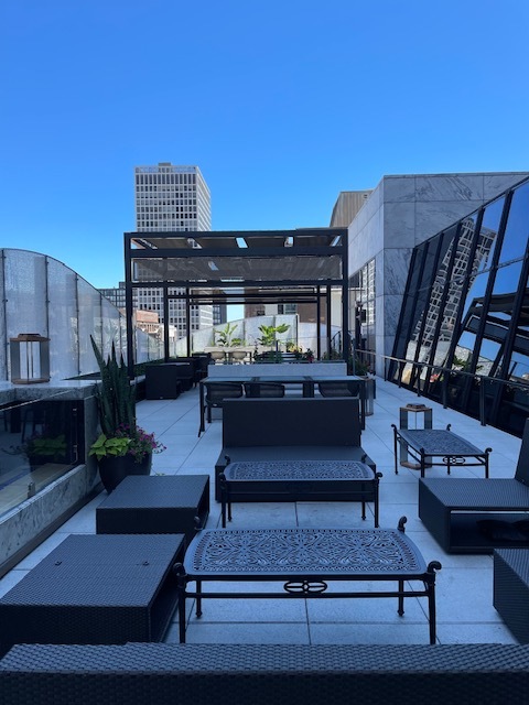 180 E Pearson Street Unit: 3502