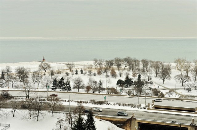 5555 N SHERIDAN Road Unit: 1011