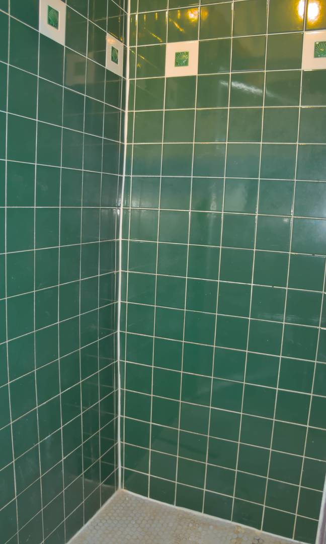 1052 W Balmoral Avenue Unit: 5F