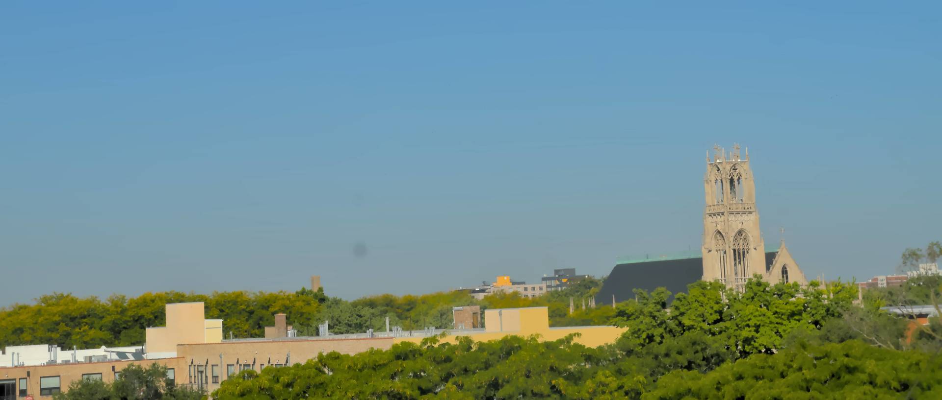 1052 W Balmoral Avenue Unit: 5F