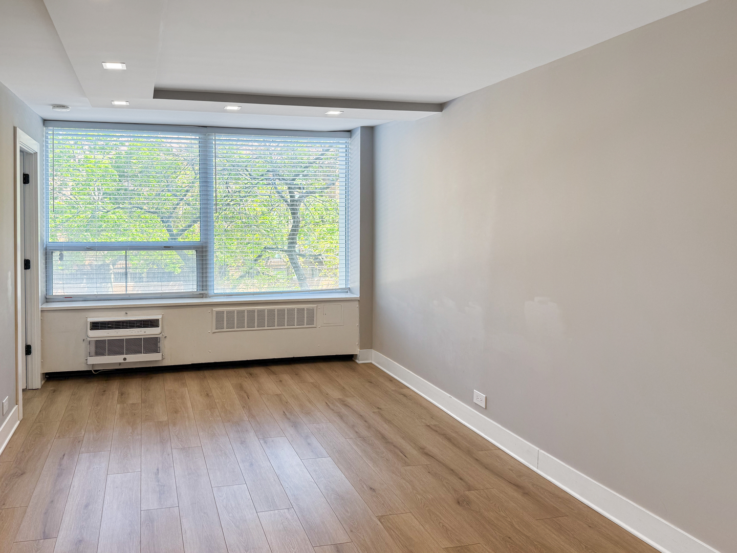 1355 N Sandburg Terrace Unit: 206D
