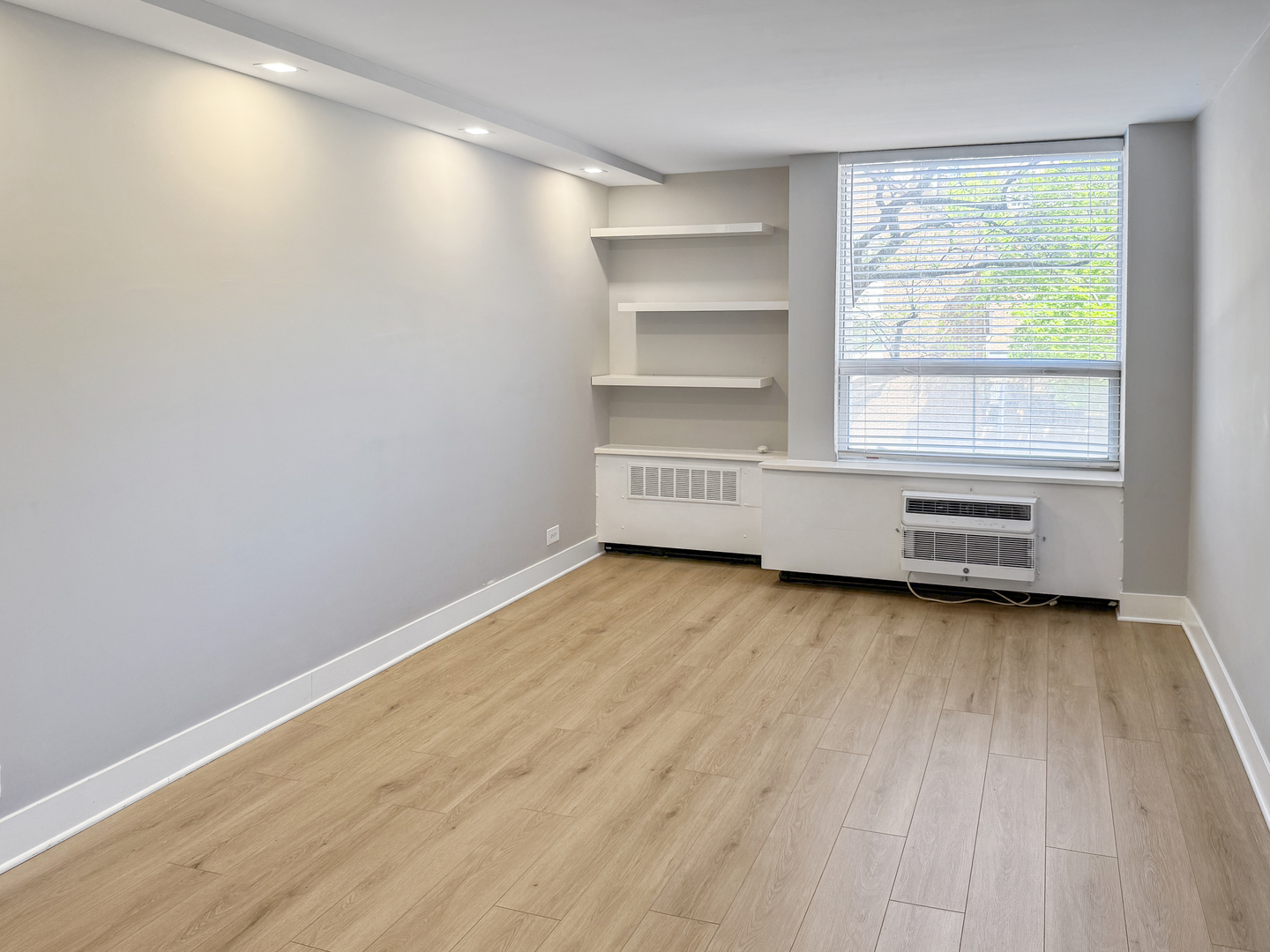 1355 N Sandburg Terrace Unit: 206D