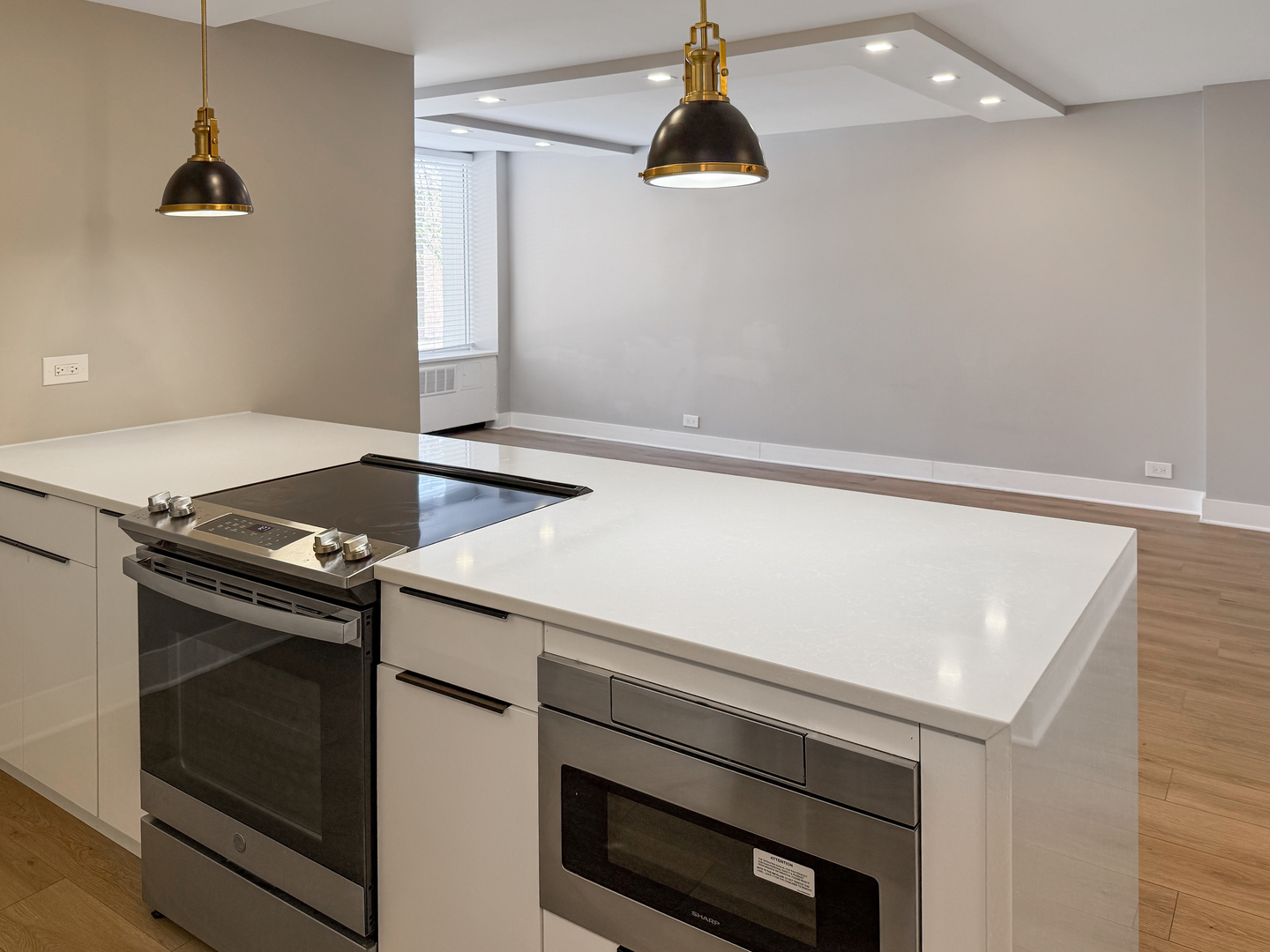 1355 N Sandburg Terrace Unit: 206D