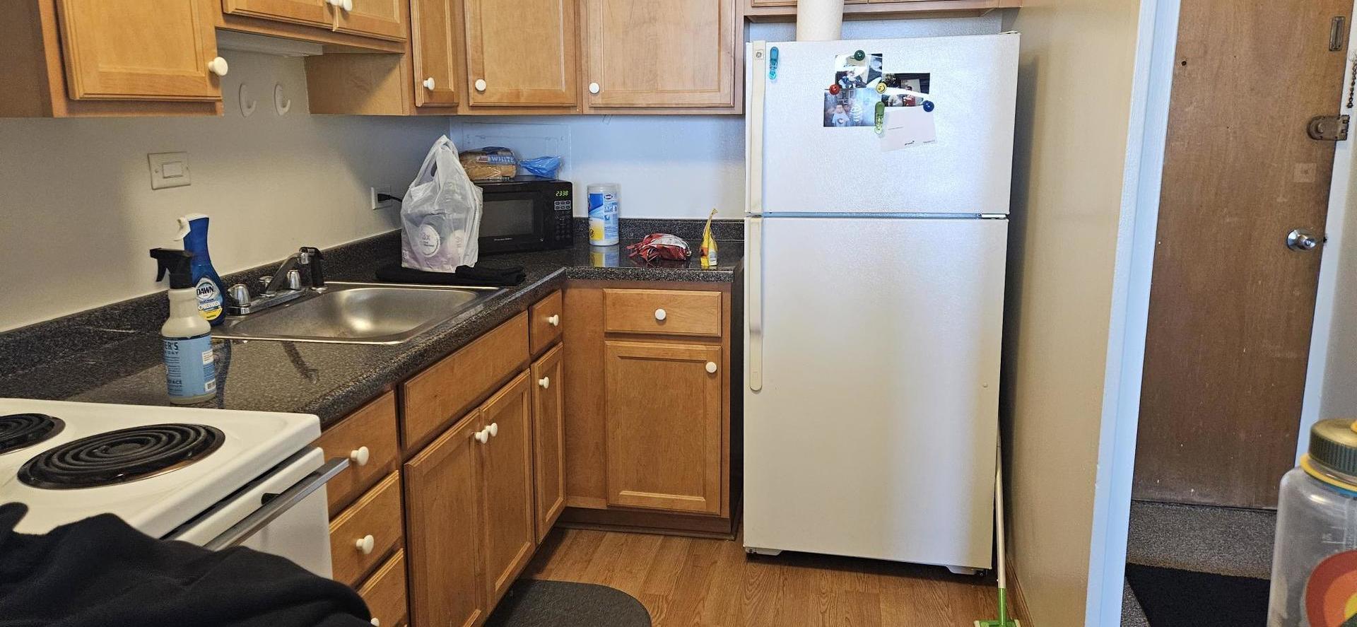 555 W CORNELIA Avenue Unit: 2009