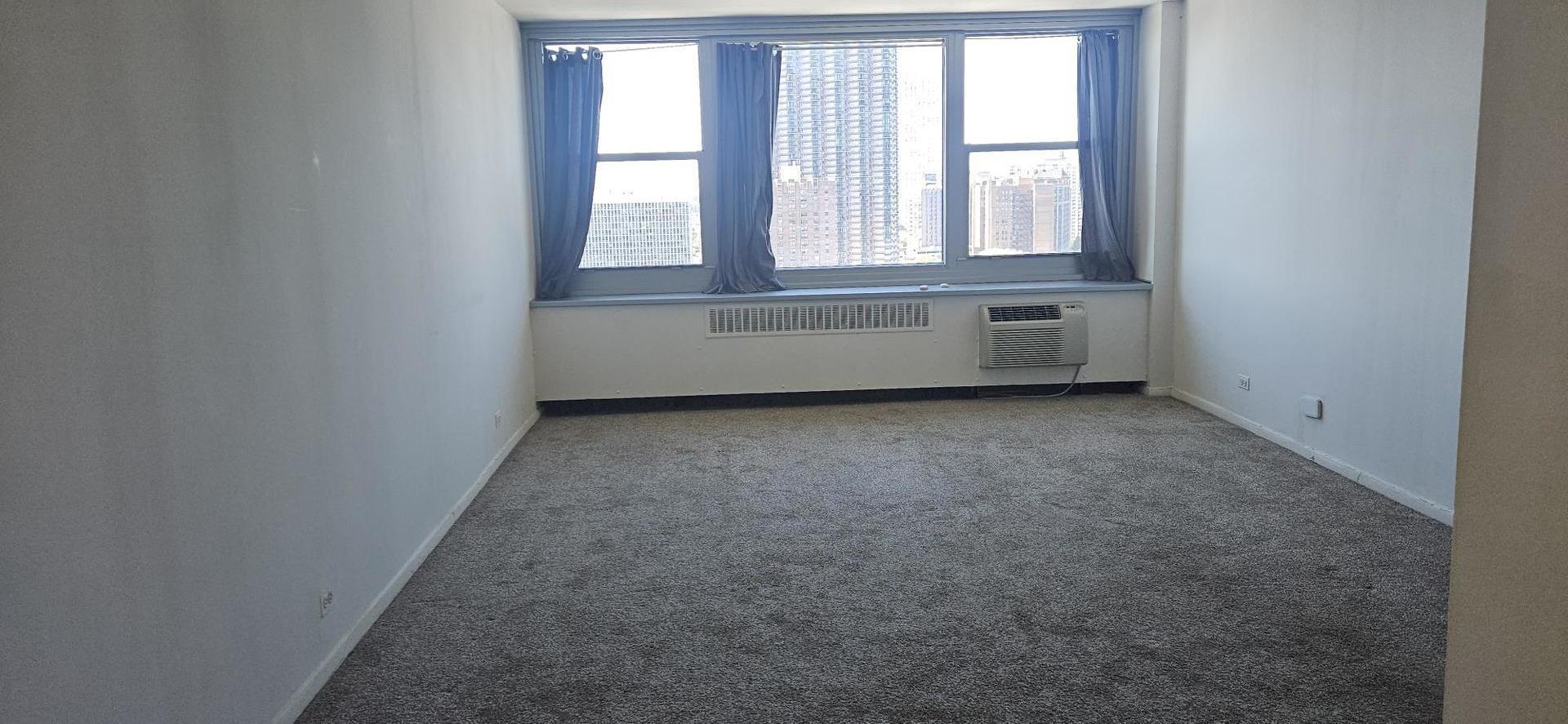 555 W CORNELIA Avenue Unit: 2009