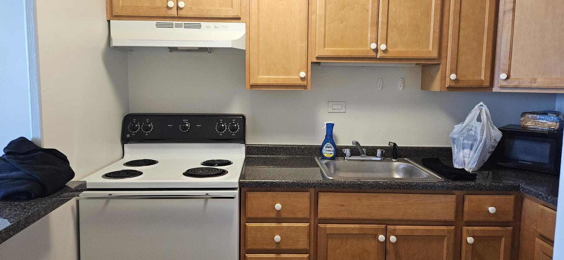 555 W CORNELIA Avenue Unit: 2009