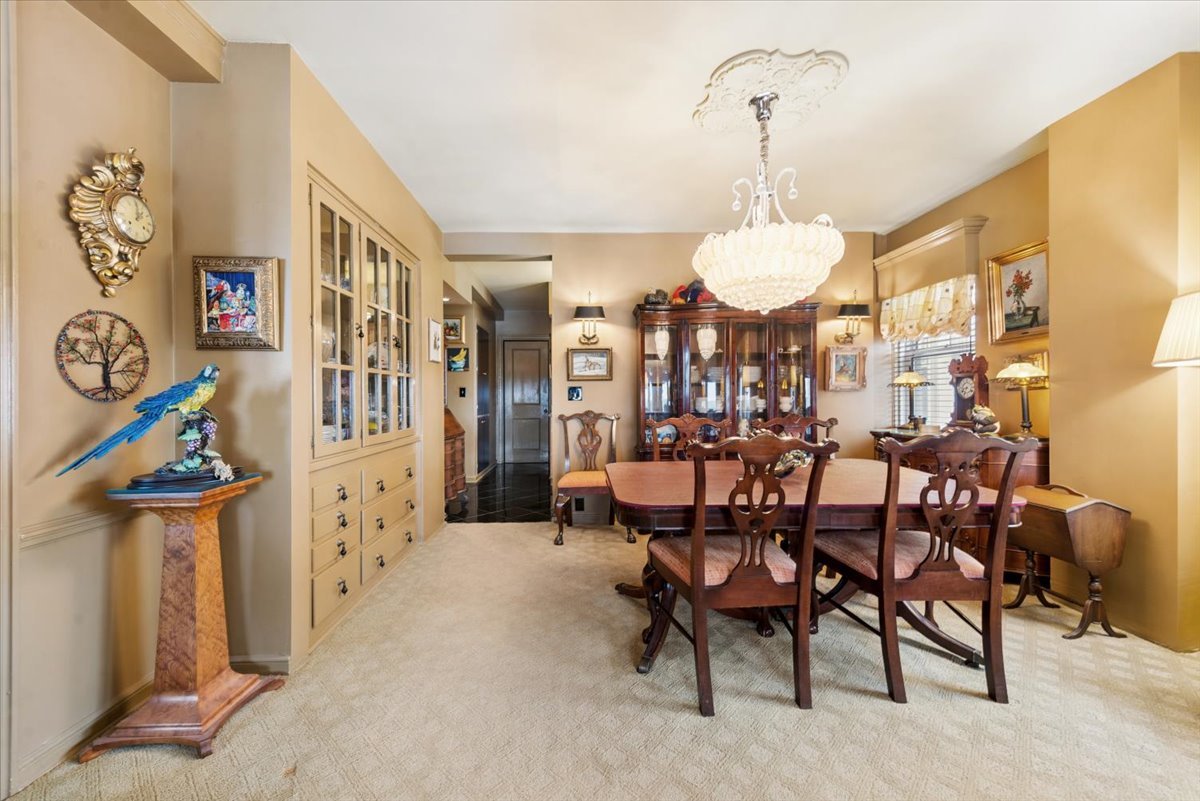 5555 N Sheridan Road Unit: 1007