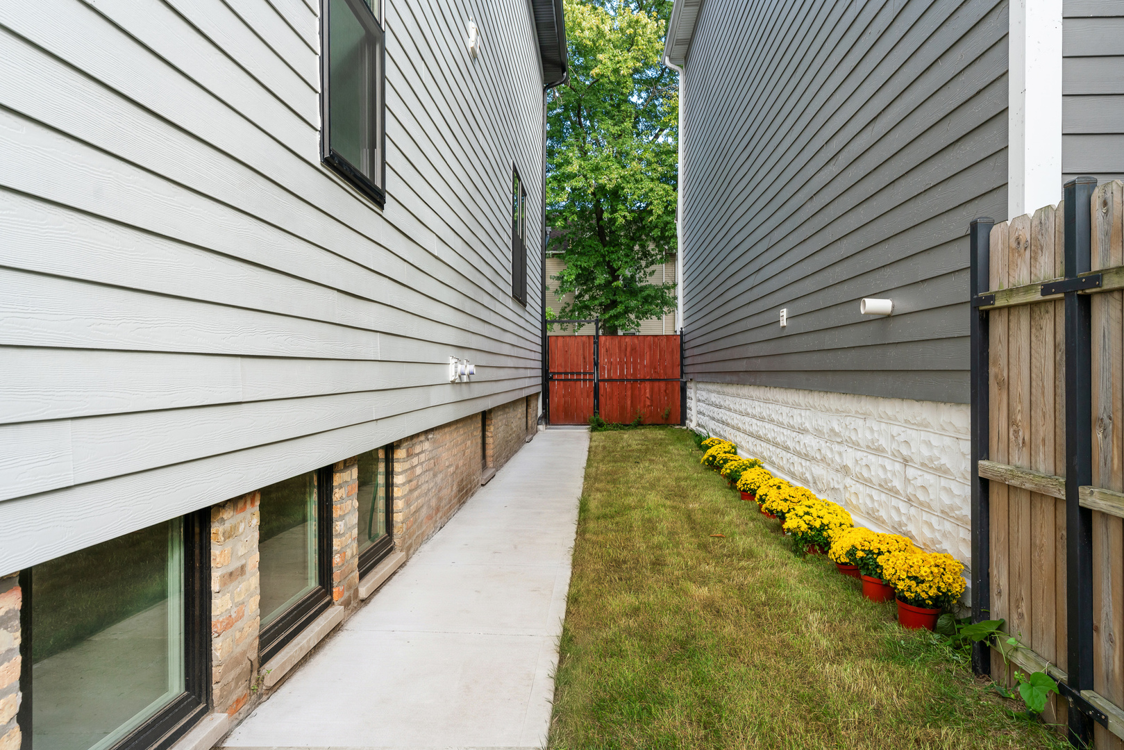 Side yard with a concrete walkway, lawn, yellow flowers, and a red gate between two homes.