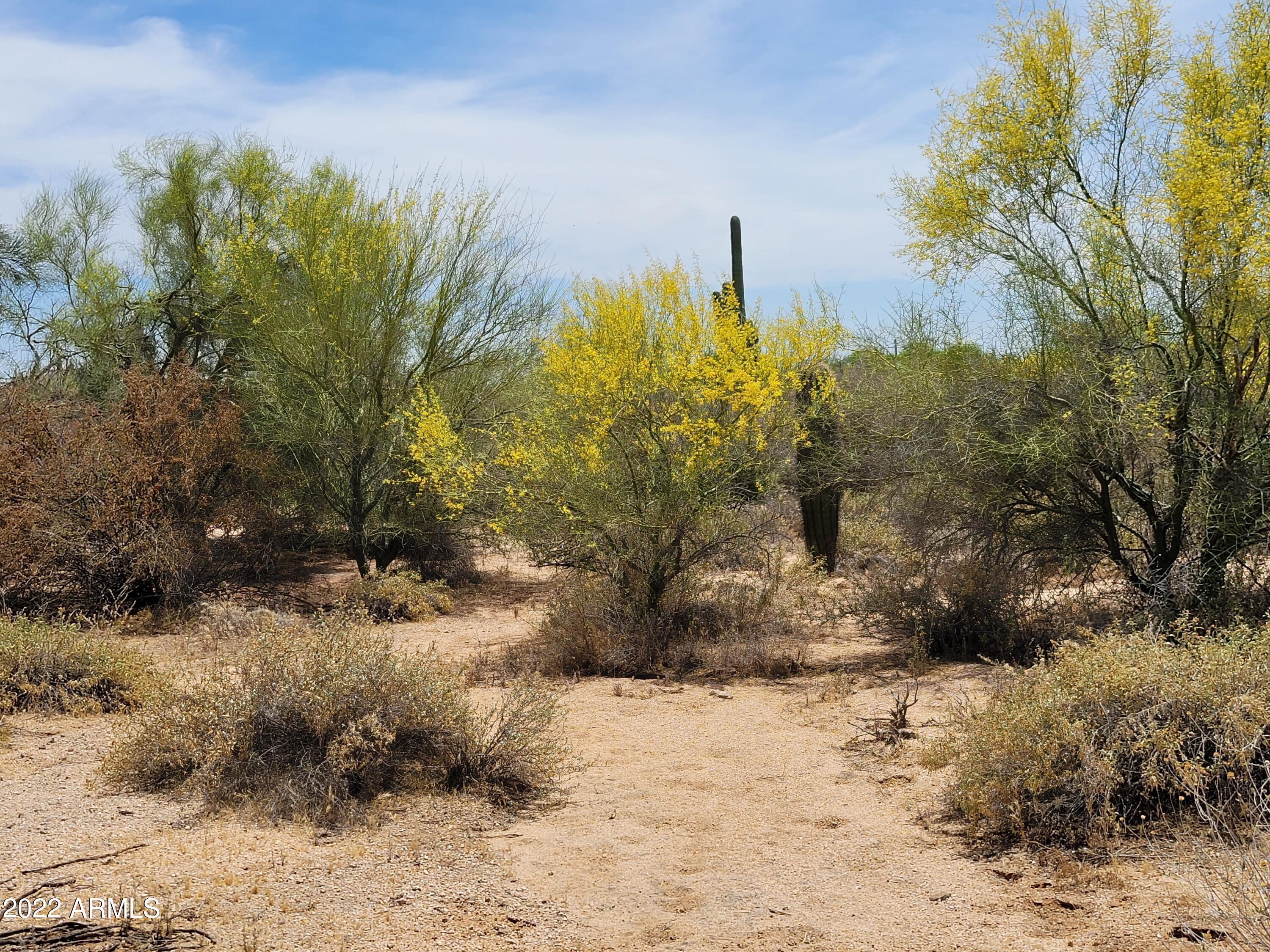 27312 N HAYDEN Road, -