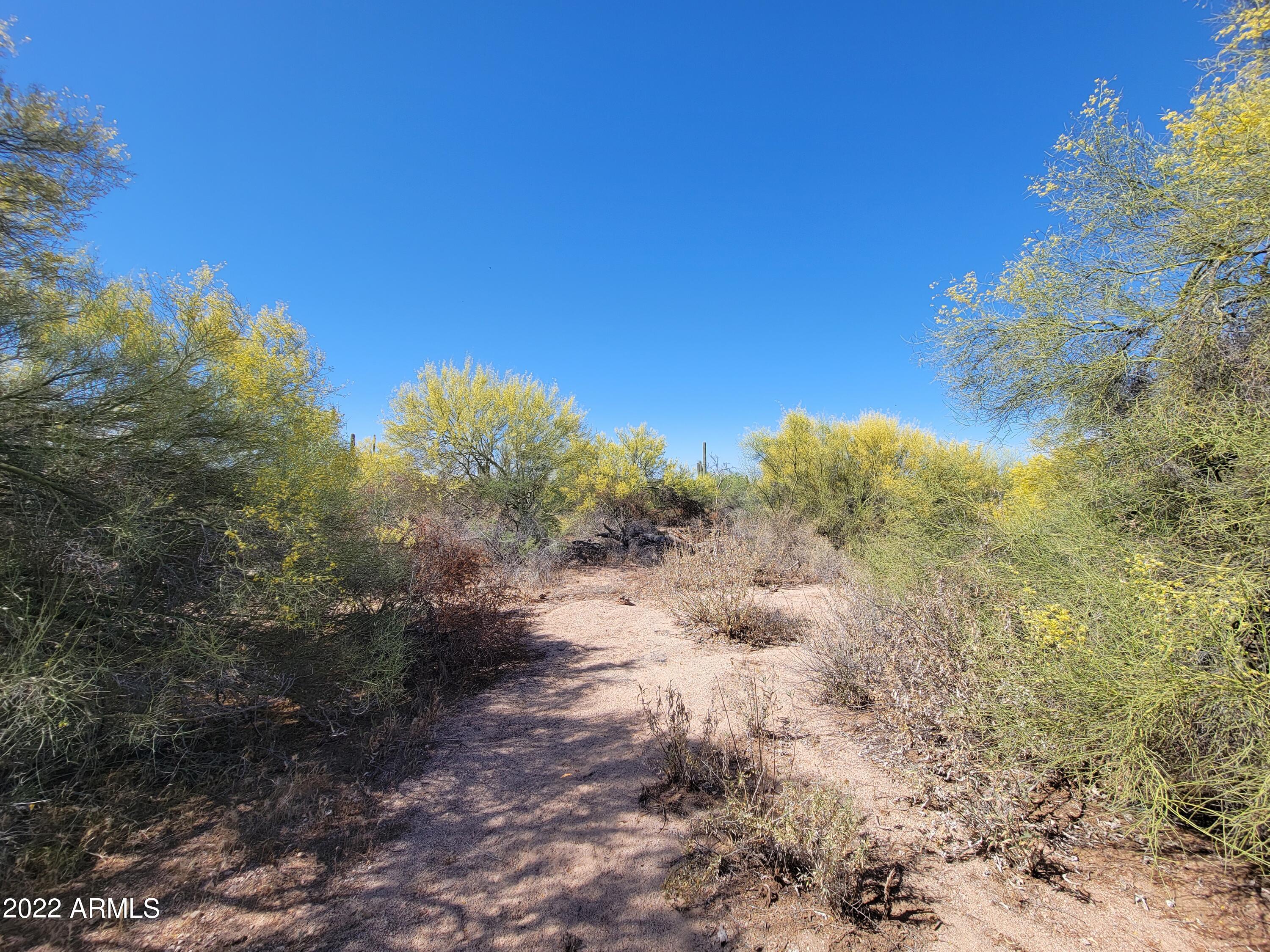 27312 N HAYDEN Road, -