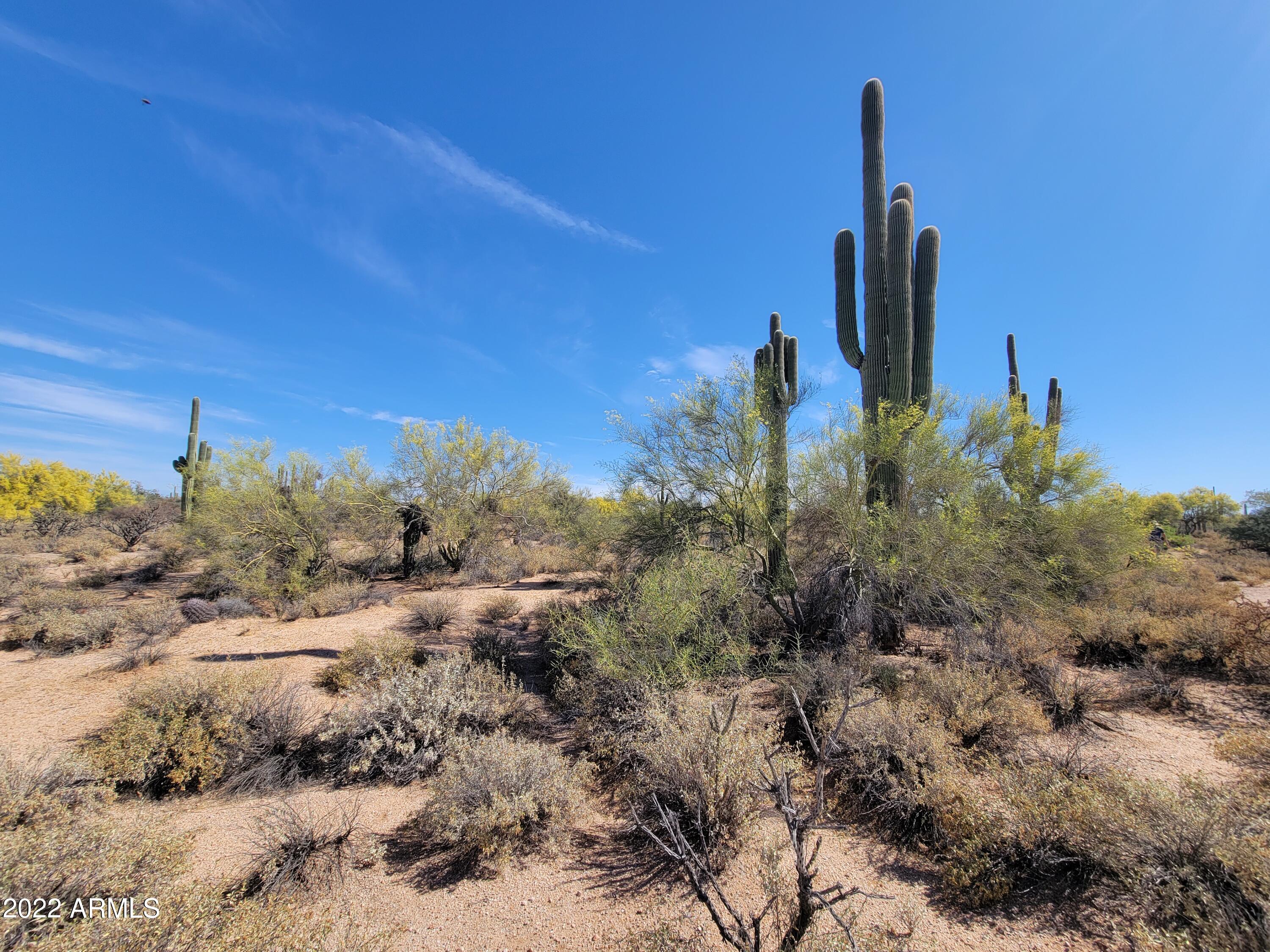 27312 N HAYDEN Road, -