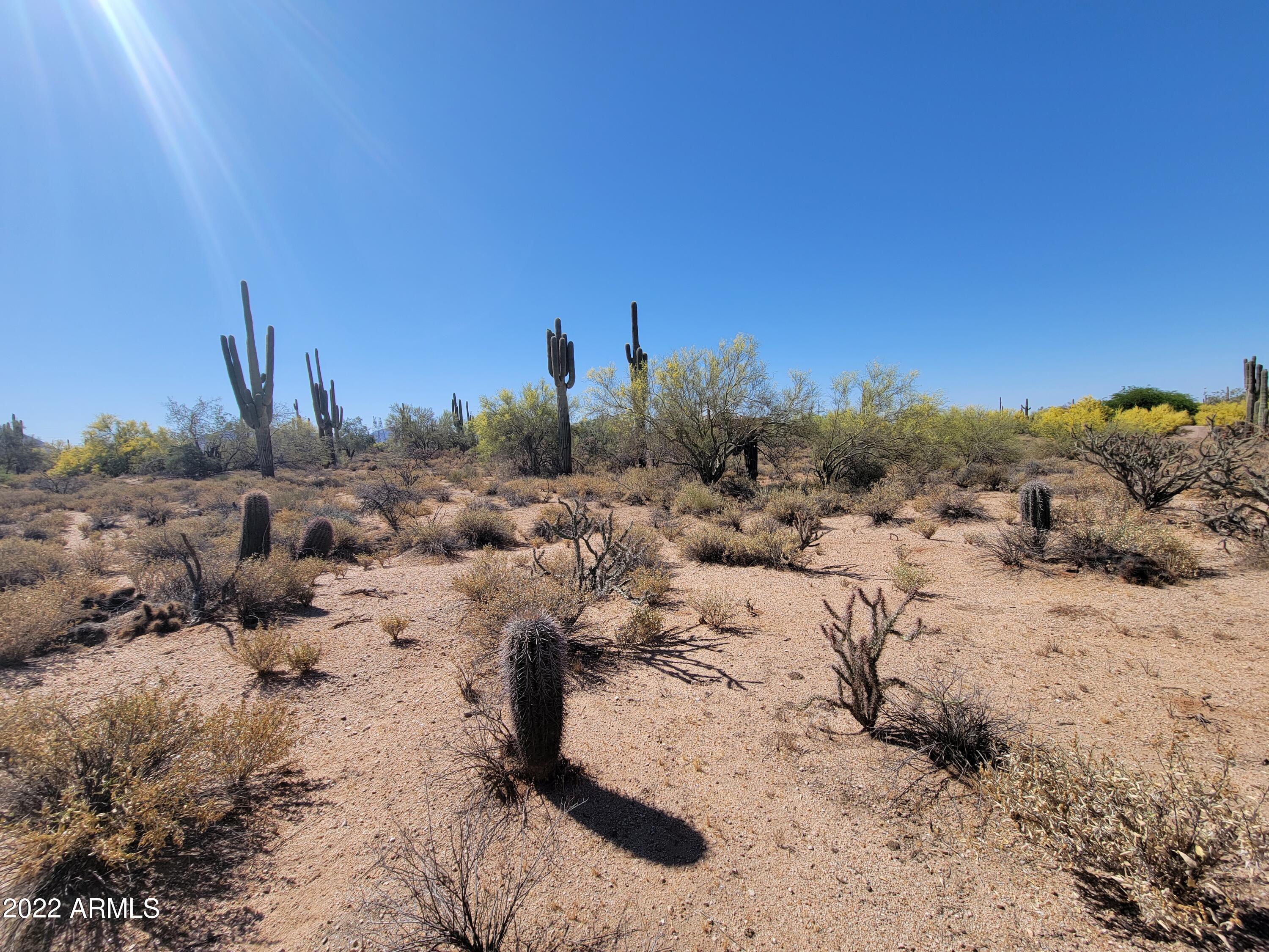 27312 N HAYDEN Road, -