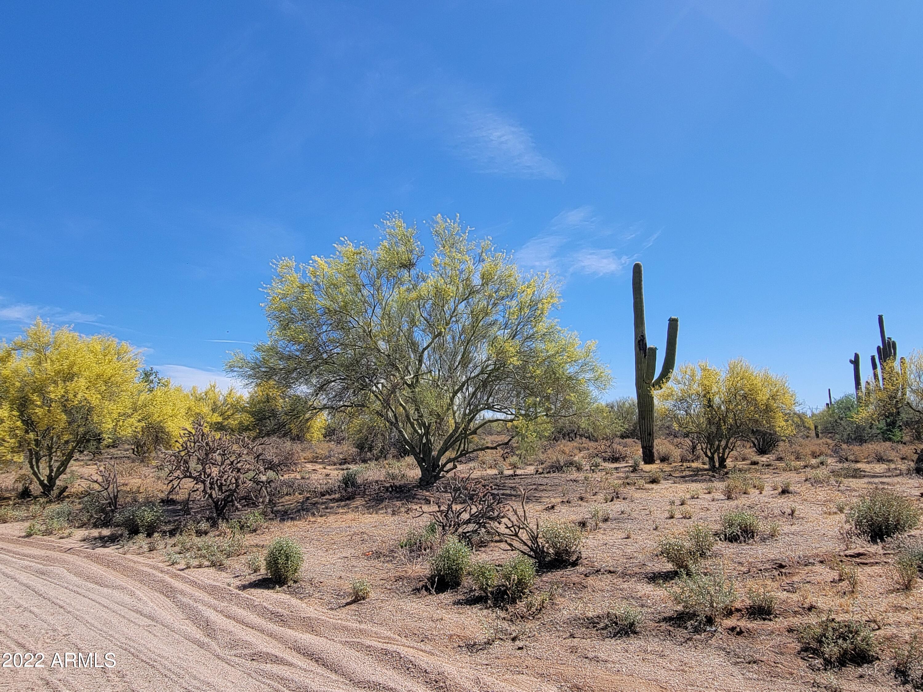27312 N HAYDEN Road, -