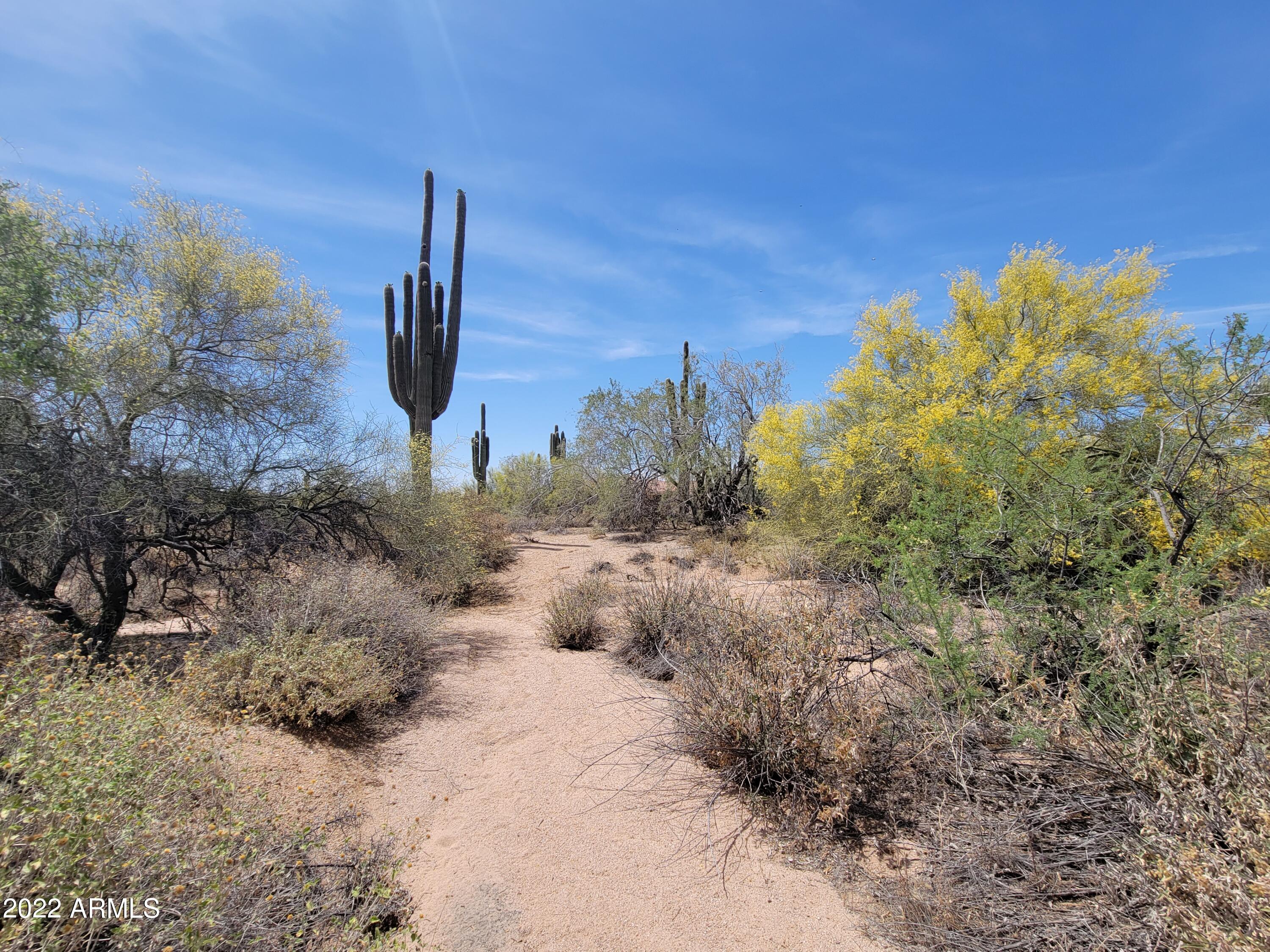 27312 N HAYDEN Road, -