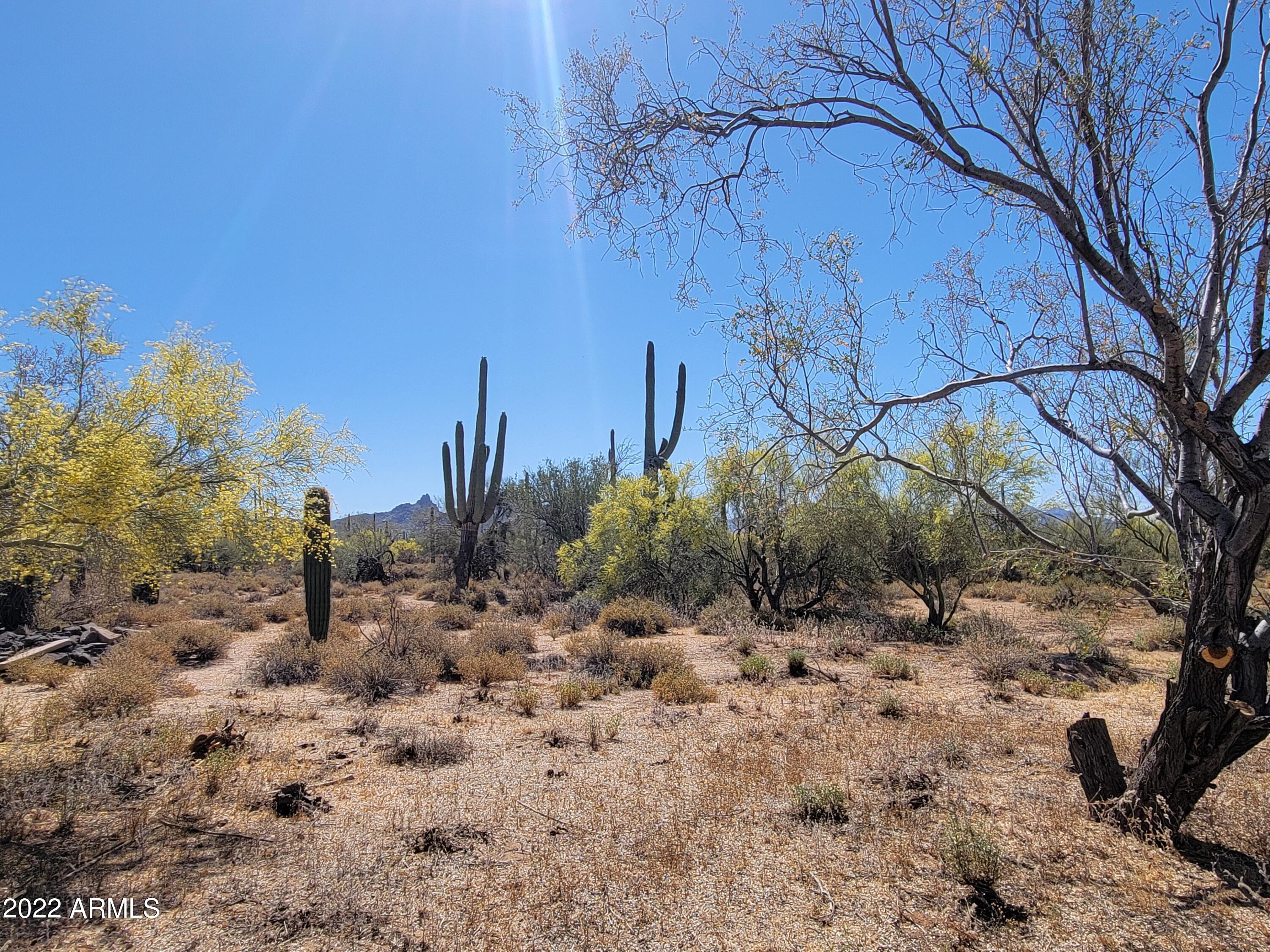 27312 N HAYDEN Road, -