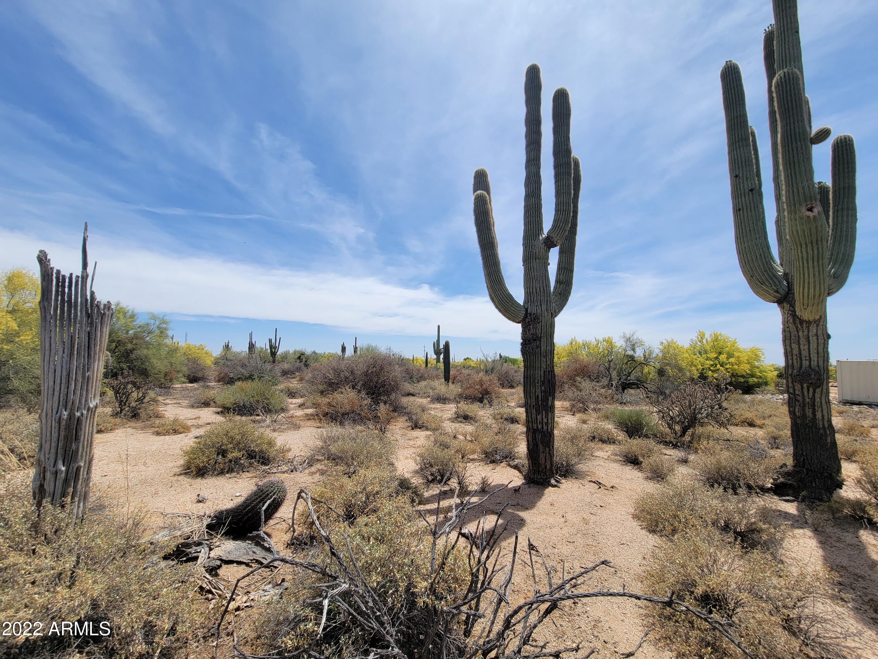 27312 N HAYDEN Road, -