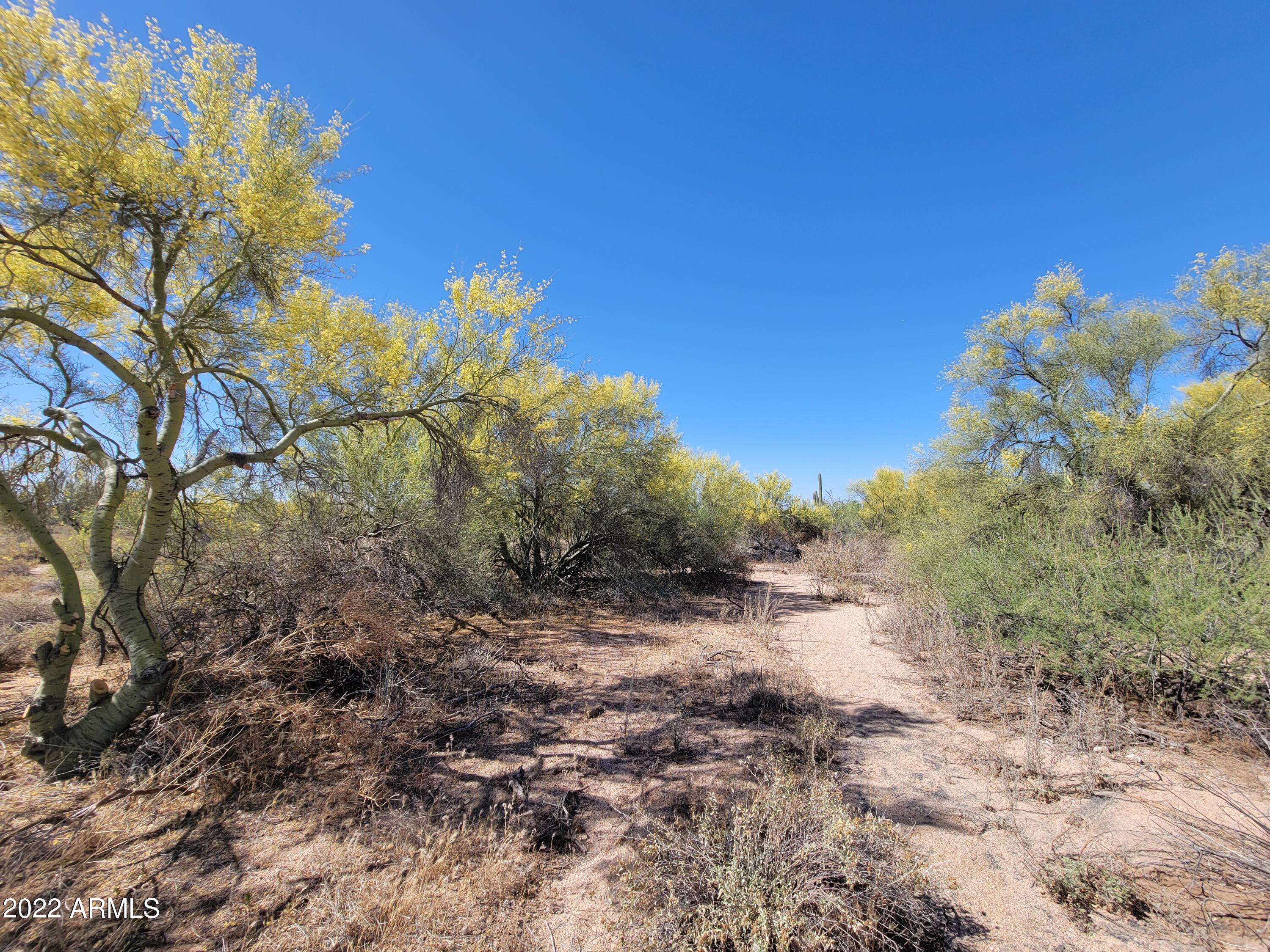 27312 N HAYDEN Road, -