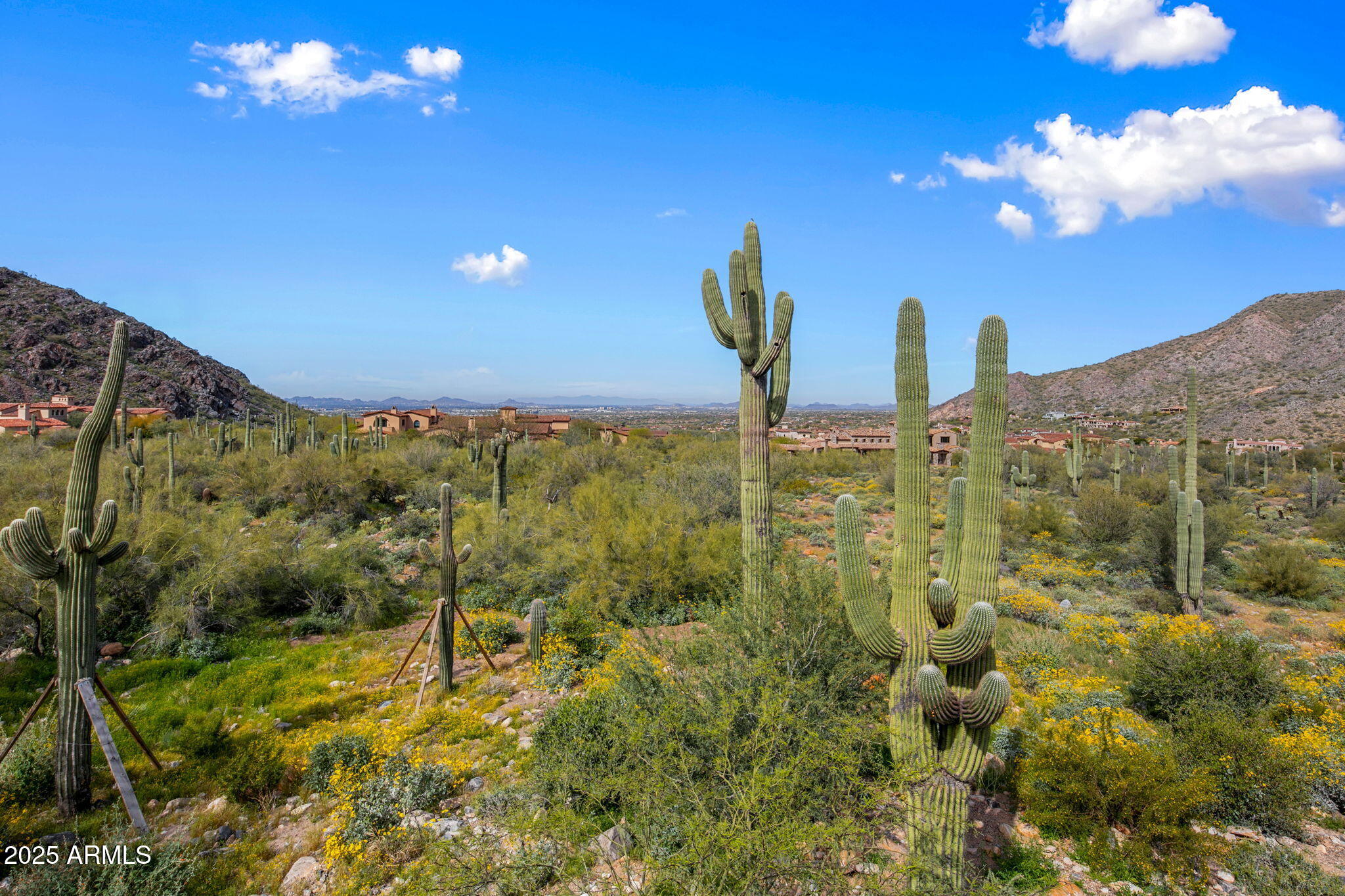 10927 E Windgate Pass Drive, 1519