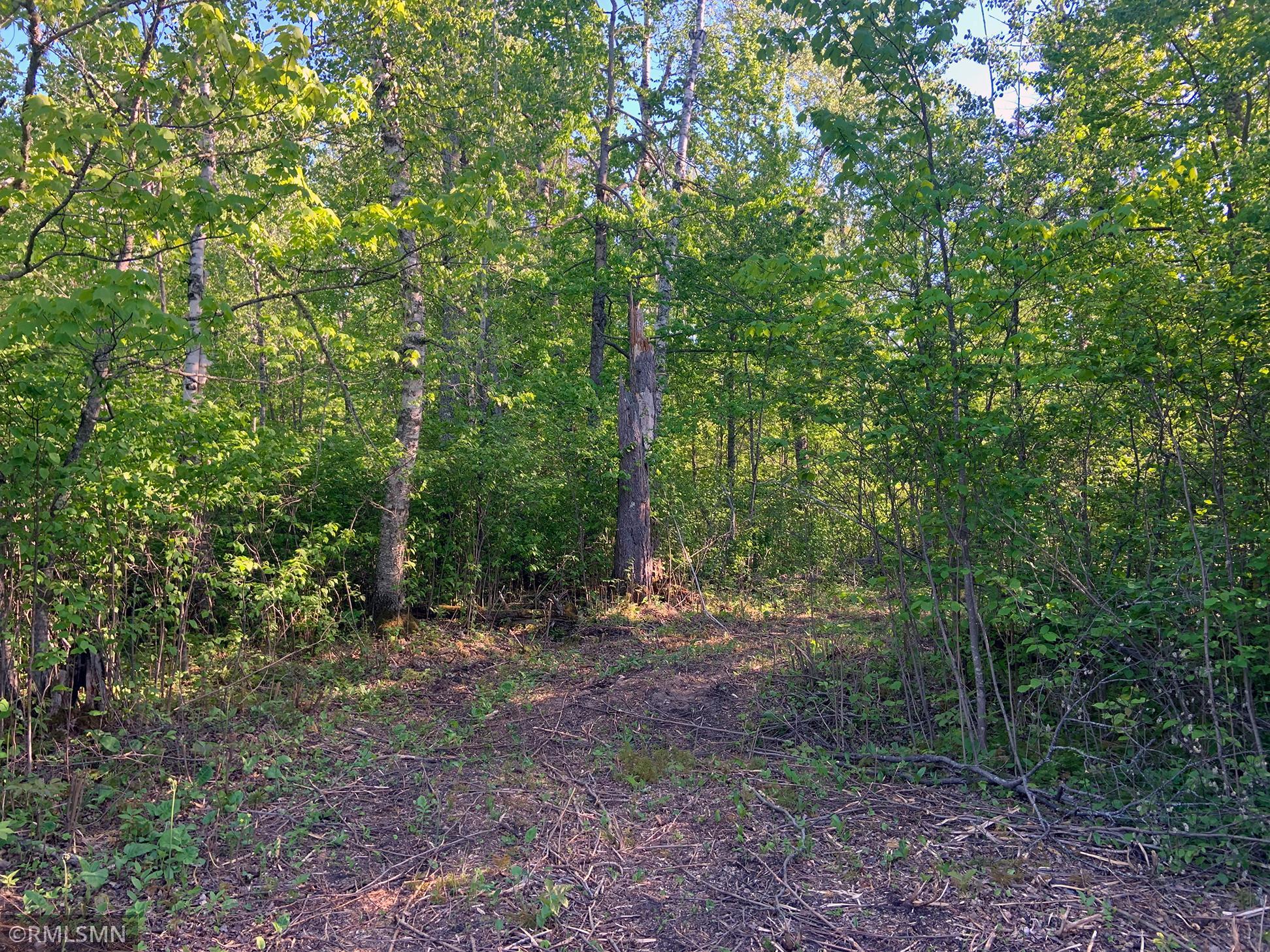 6215 Needleleaf Road