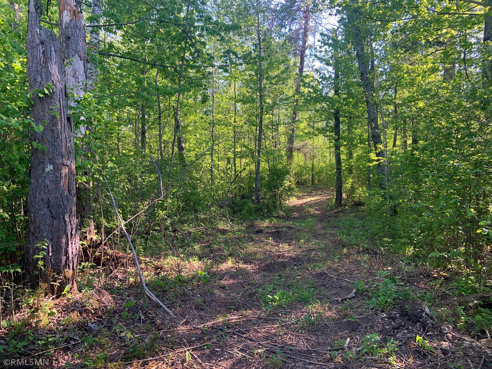 6215 Needleleaf Road