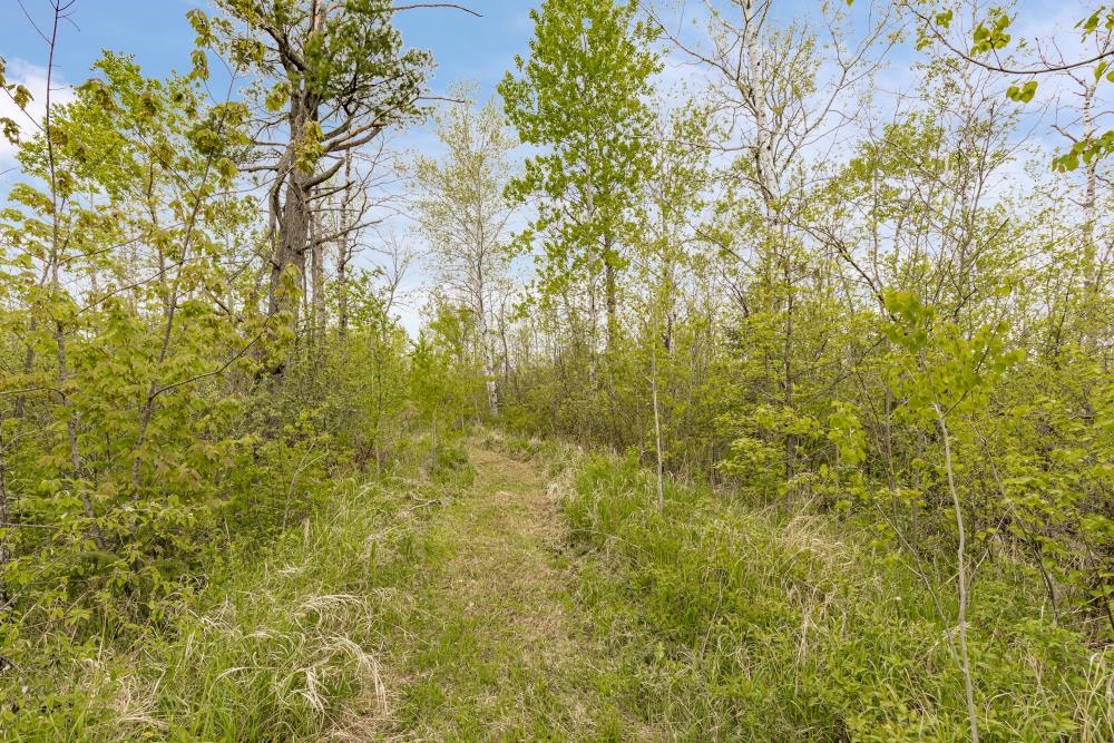 4085 County Road 6
