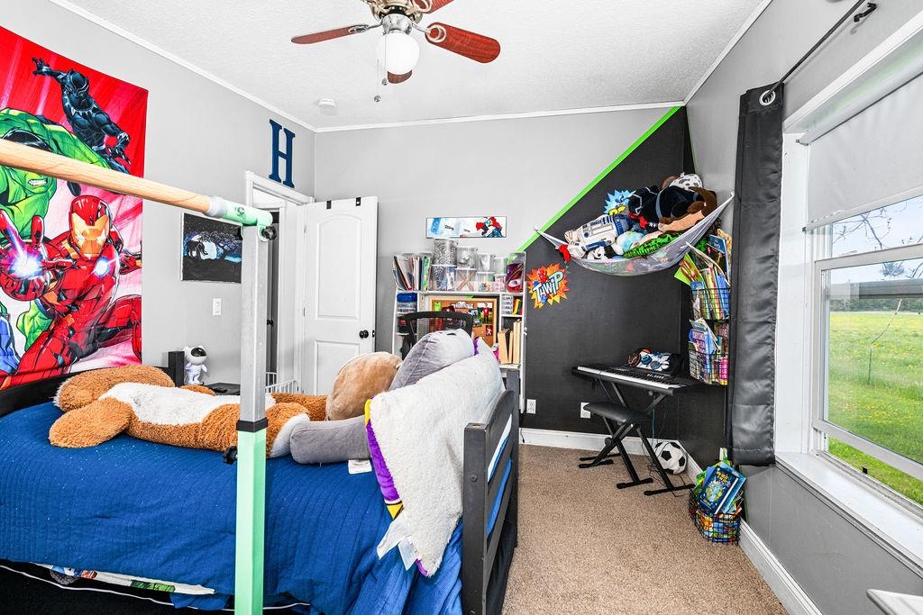 2541 County Rd 4