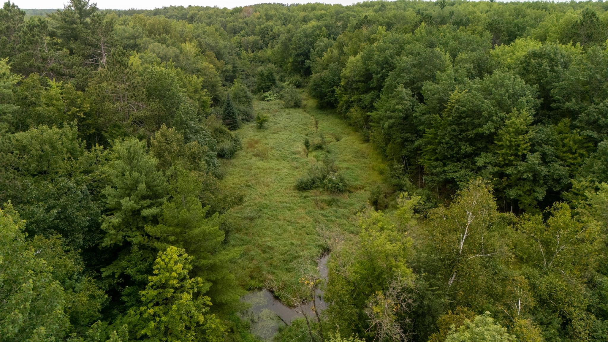 54347 County Hwy 61