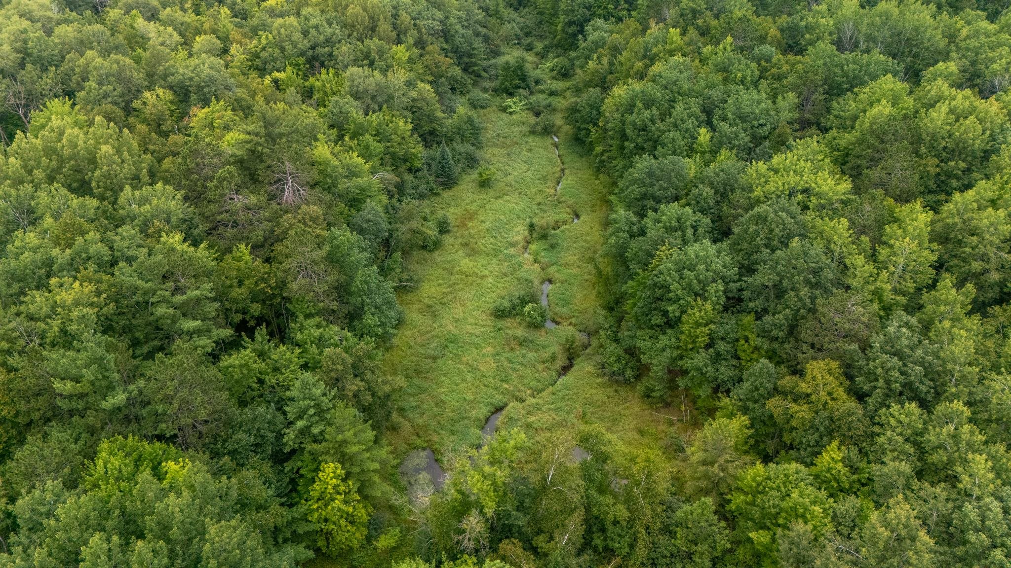 54347 County Hwy 61