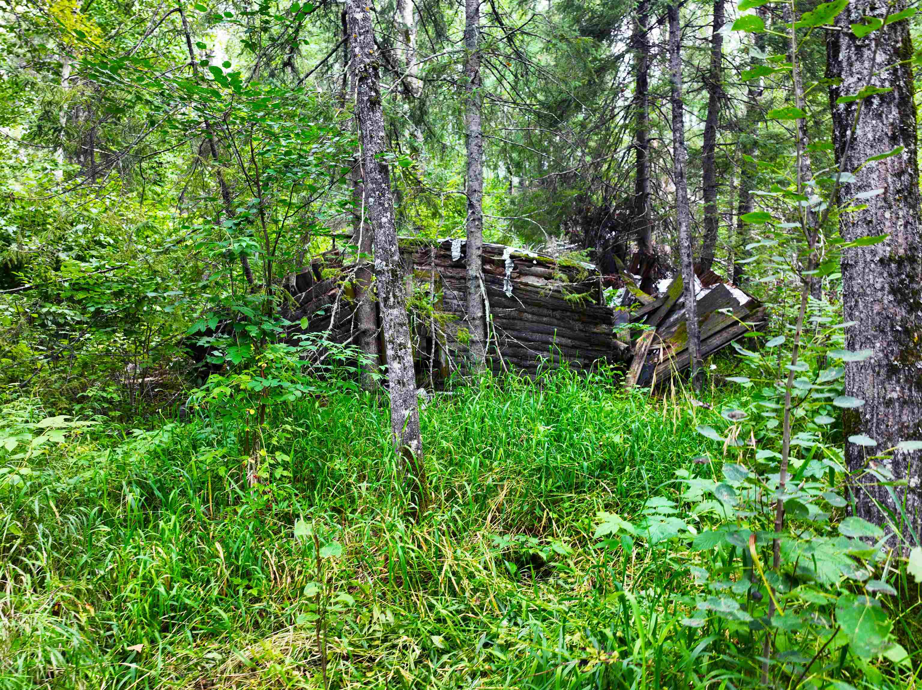 9128 Peary Junction Rd