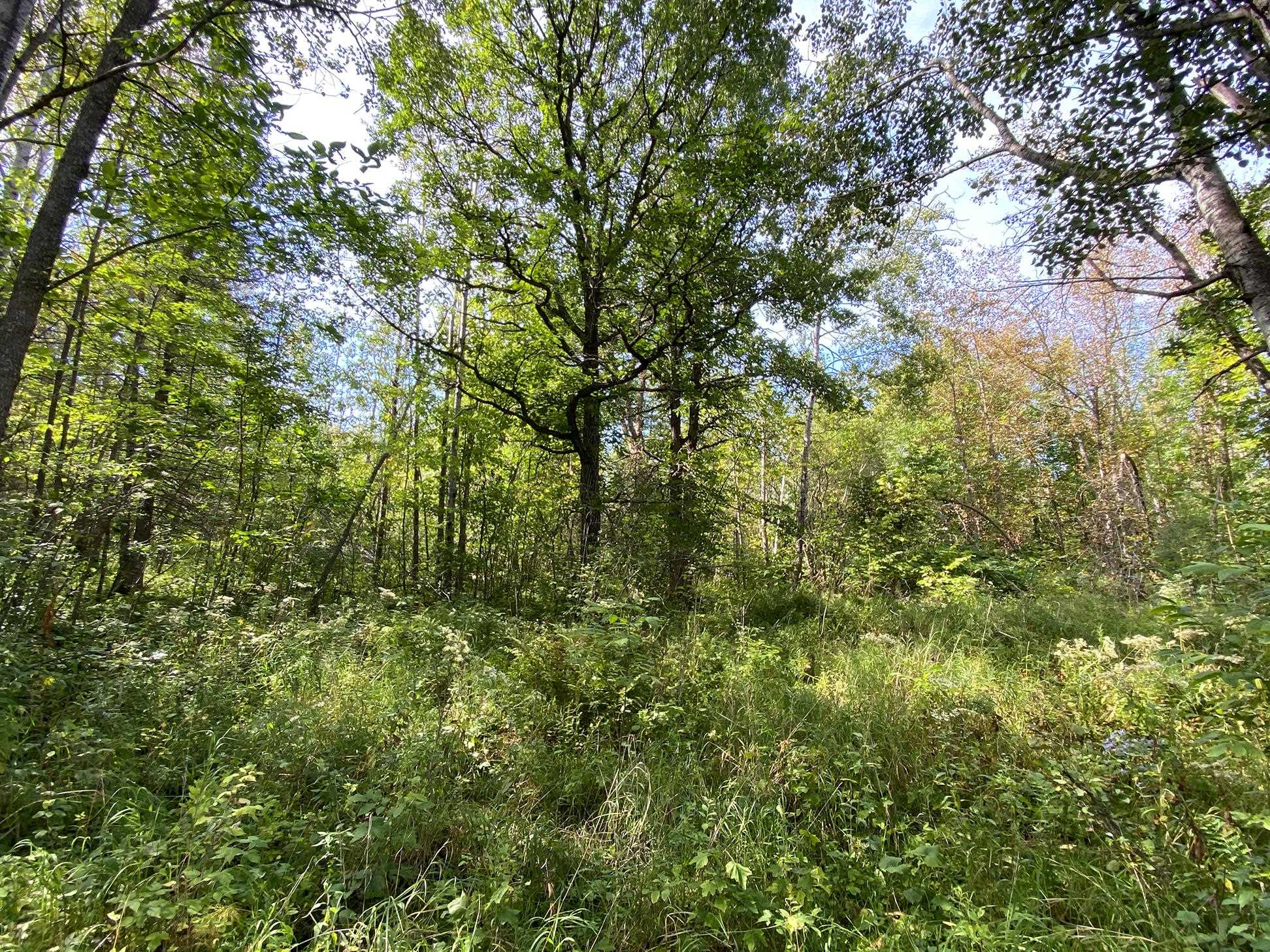 4048 Little Rd