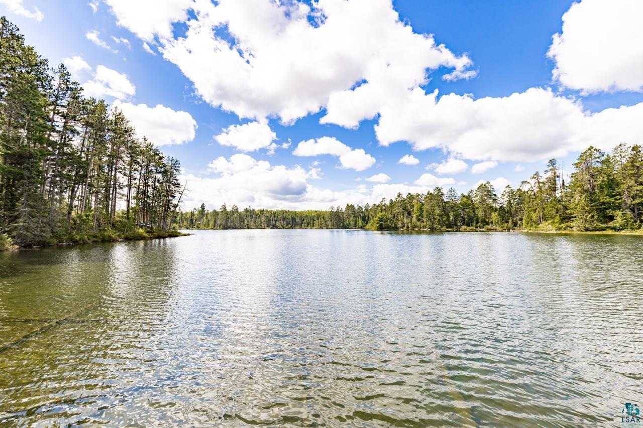 10401 Gunsten Lake Rd
