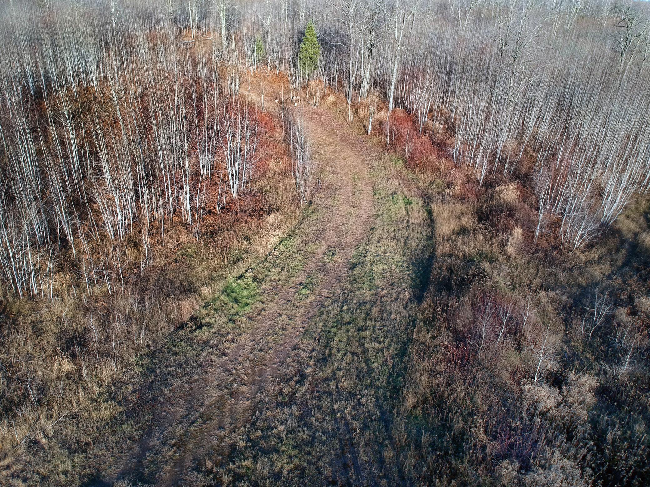 20XX Cty Rd 142