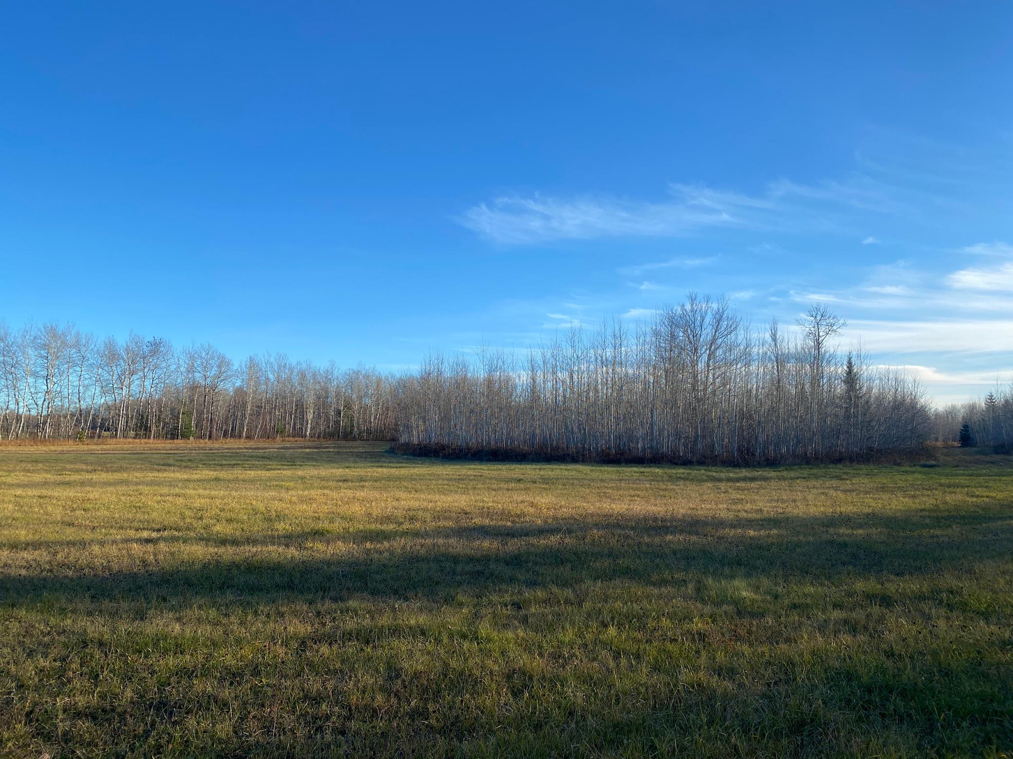 20XX Cty Rd 142