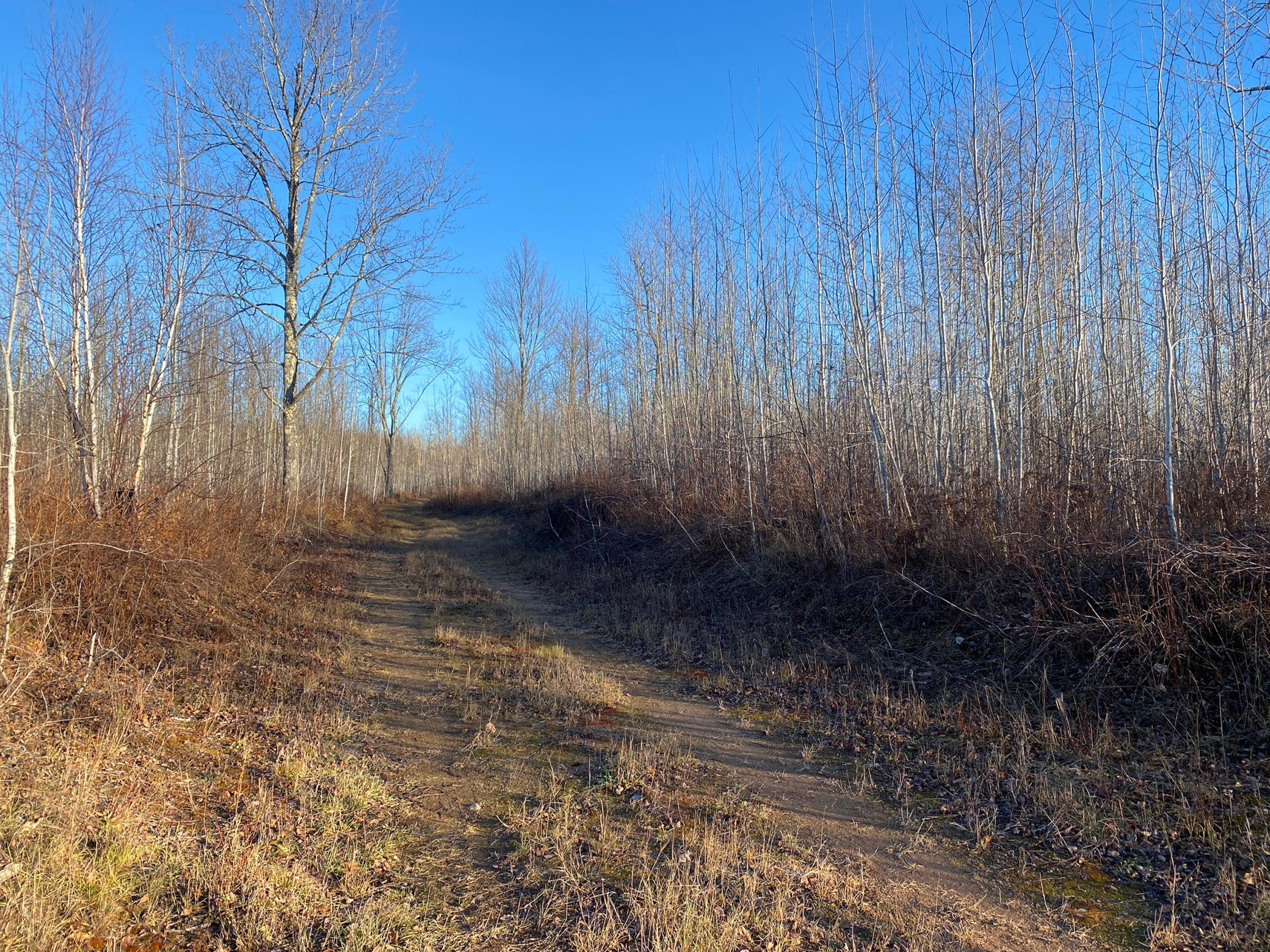 20XX Cty Rd 142