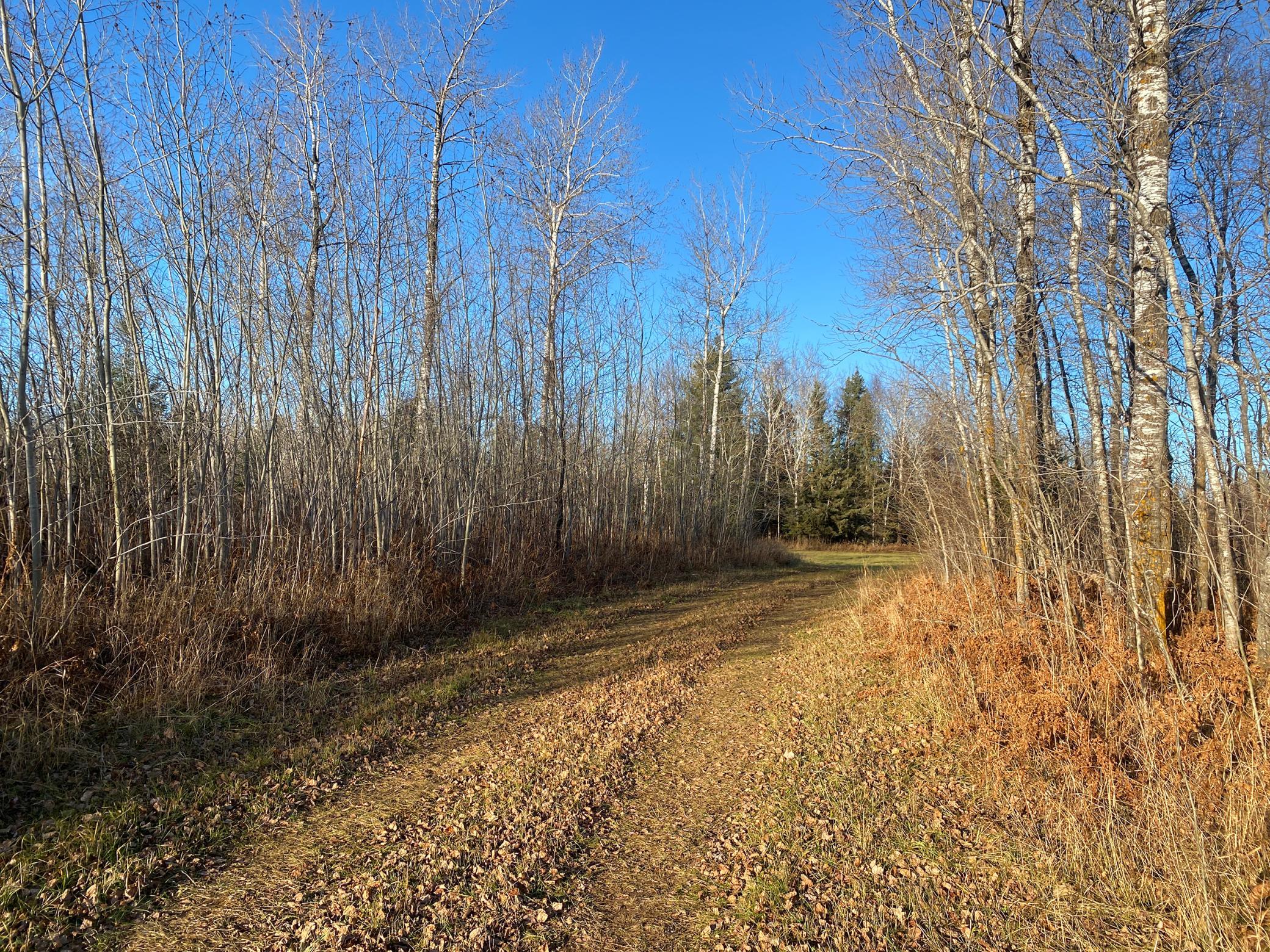20XX Cty Rd 142