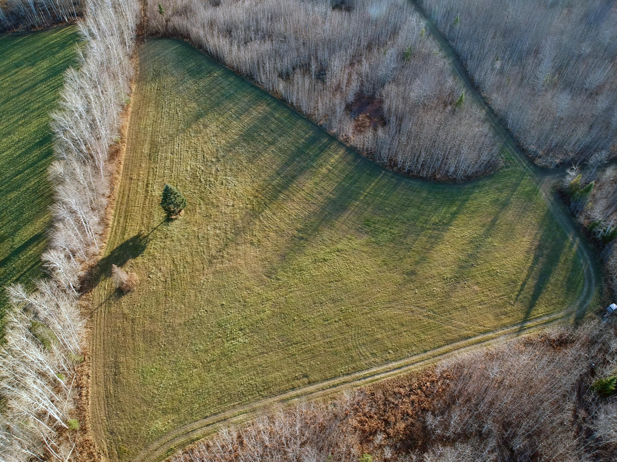 20XX Cty Rd 142