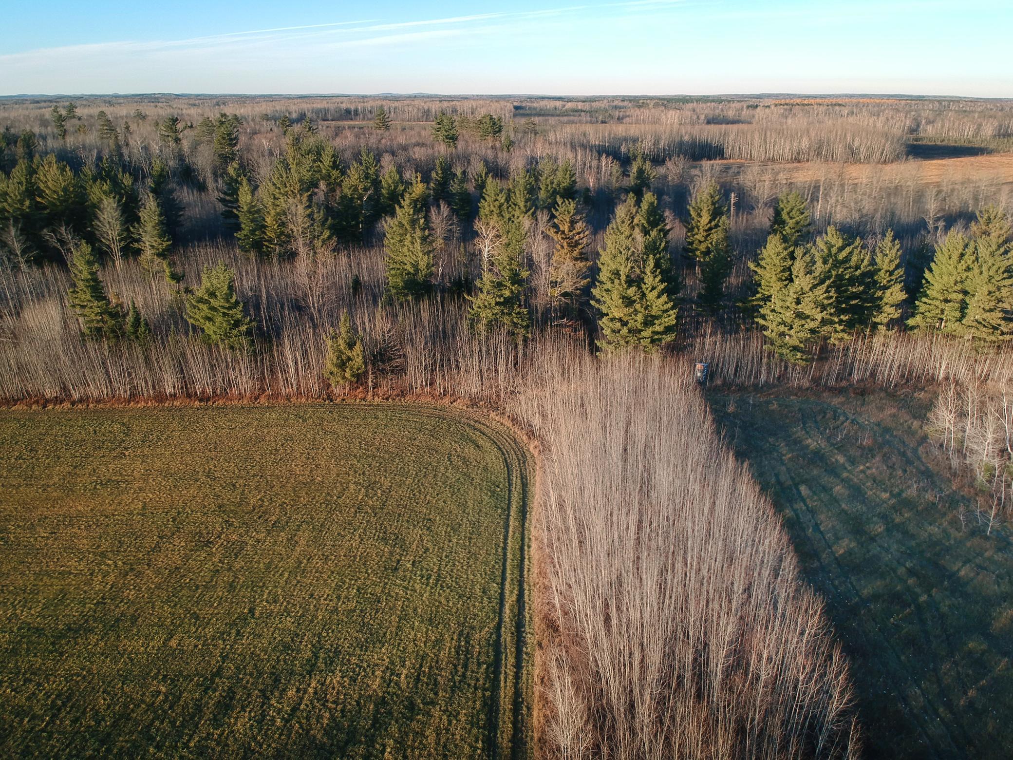 20XX Cty Rd 142