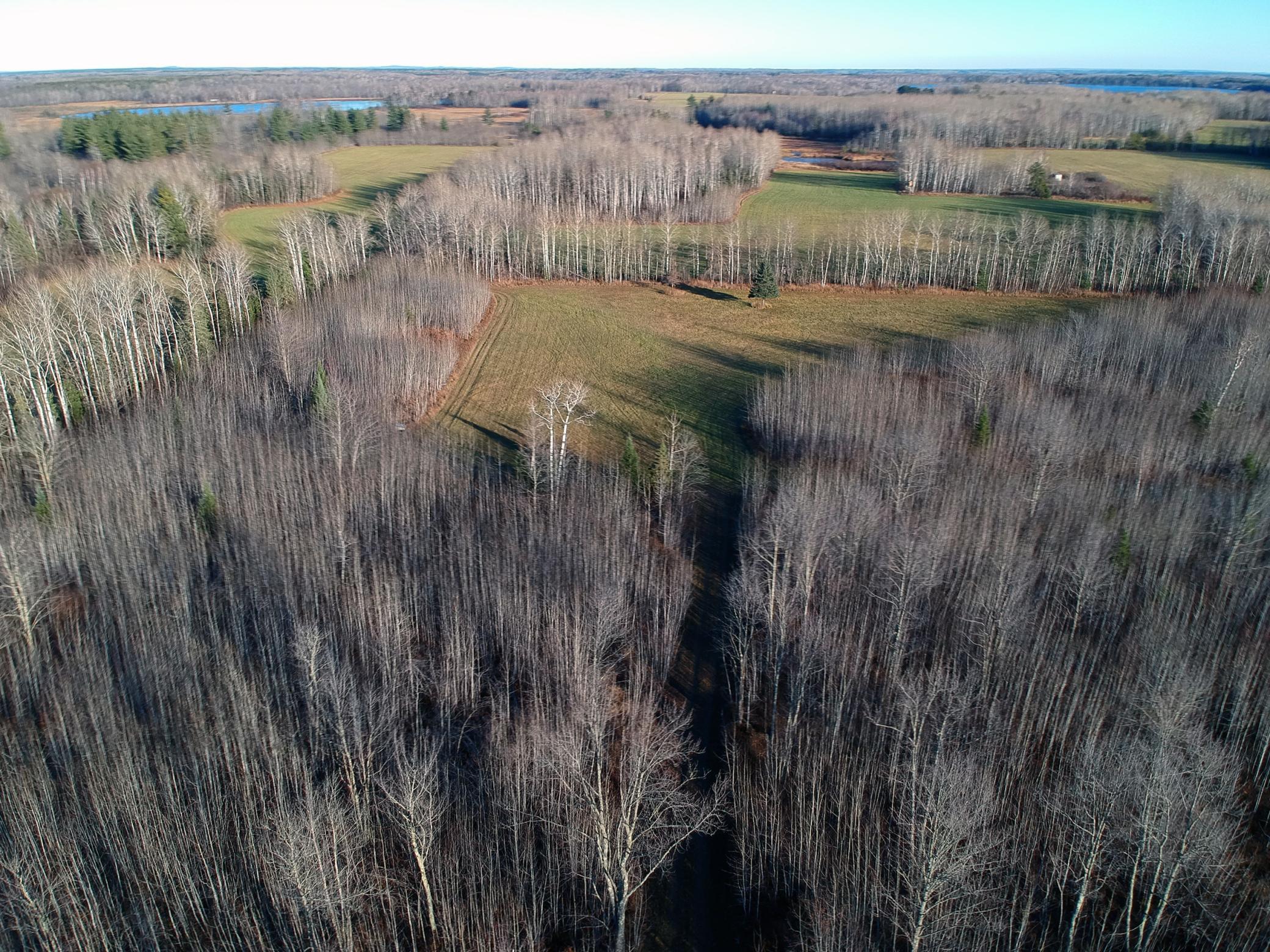 20XX Cty Rd 142
