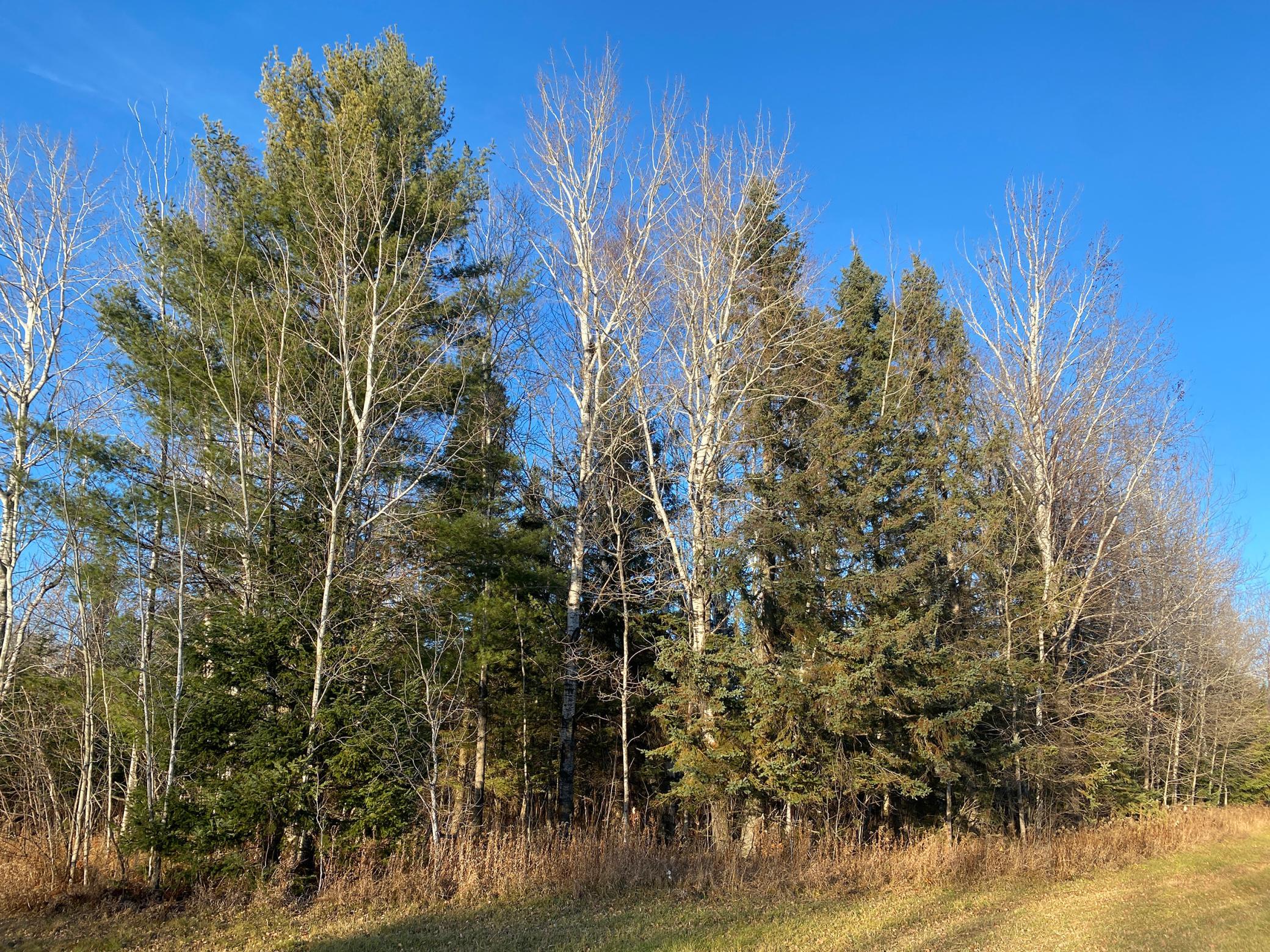 20XX Cty Rd 142