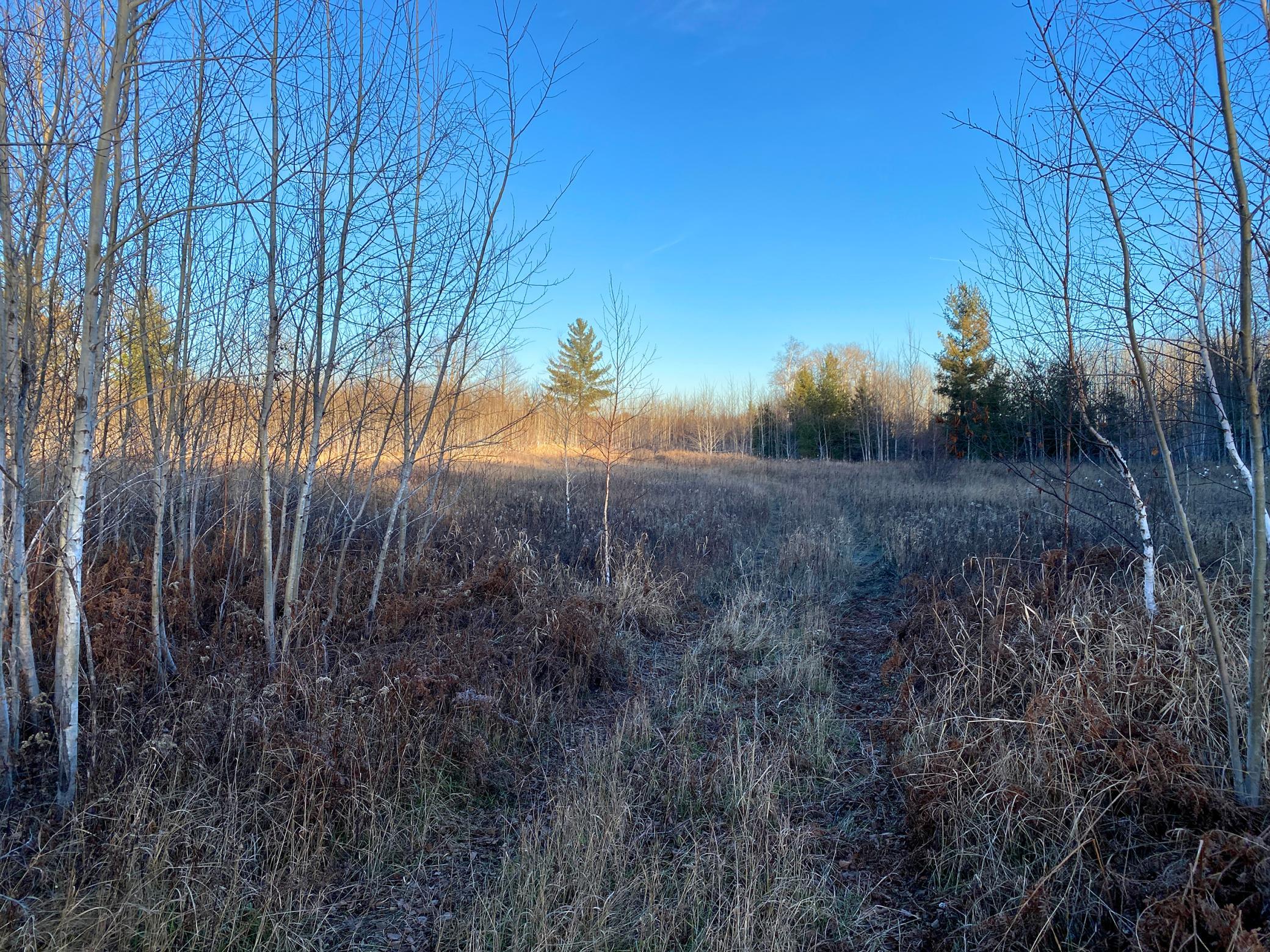 20XX Cty Rd 142