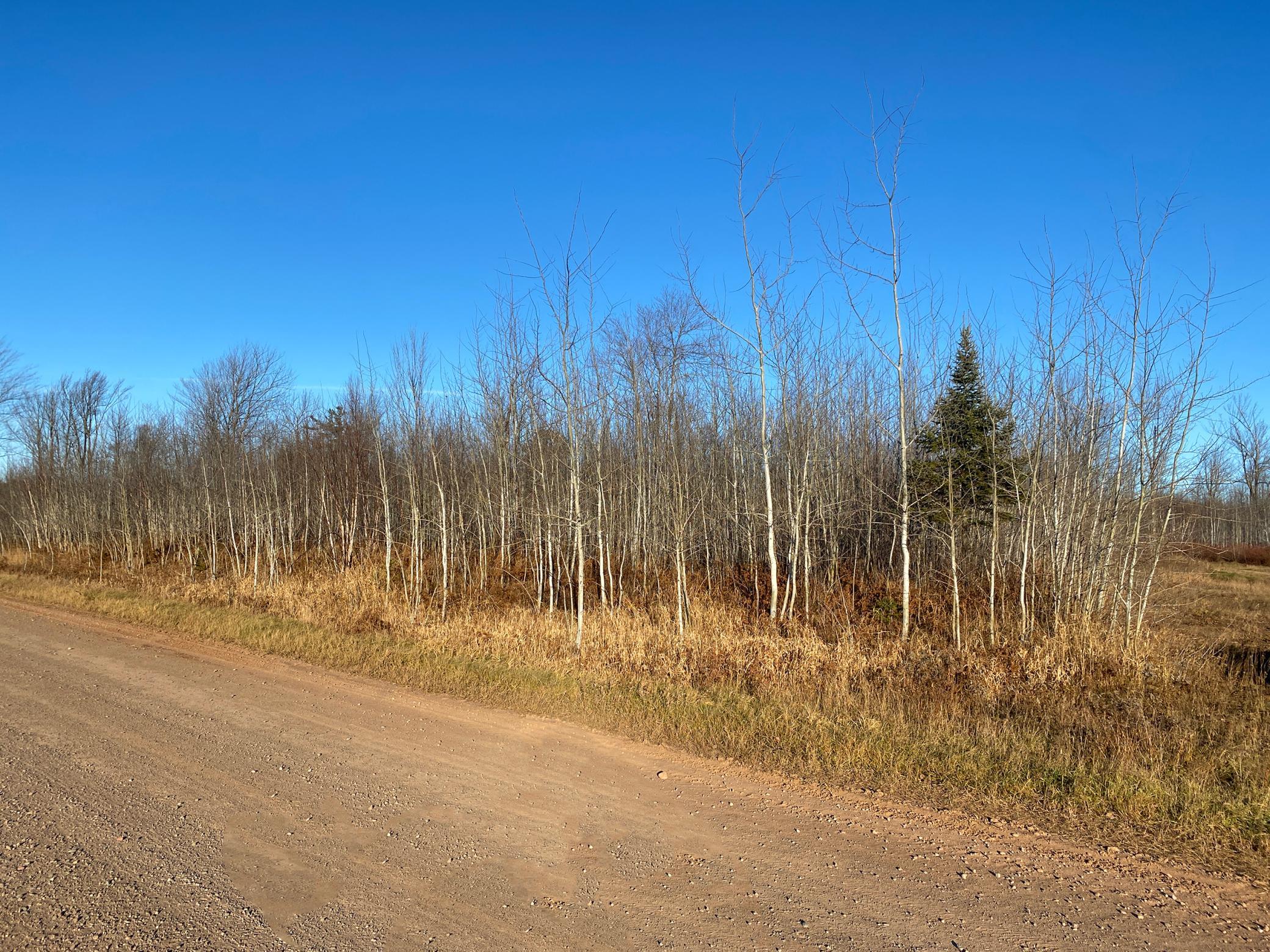 20XX Cty Rd 142