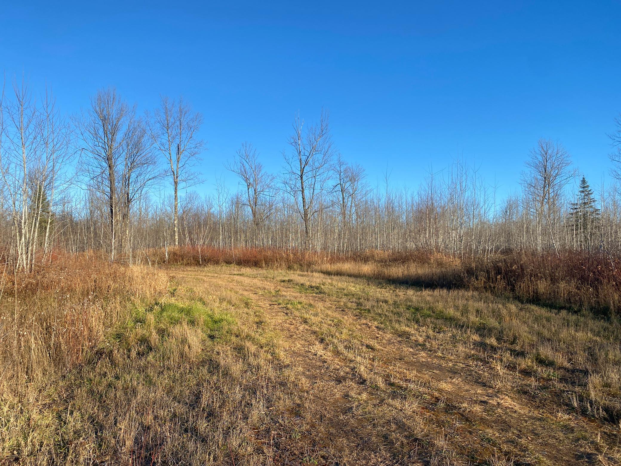 20XX Cty Rd 142