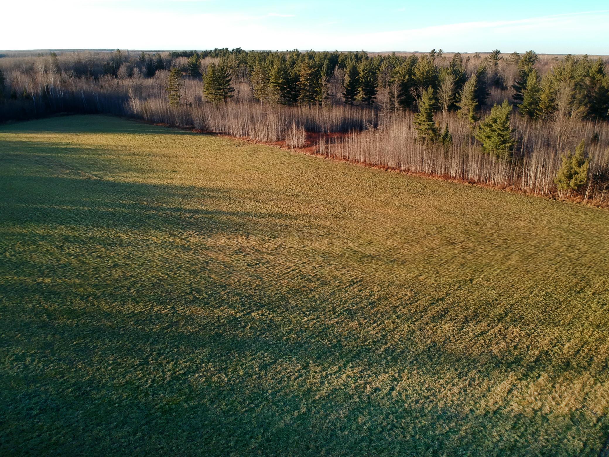 20XX Cty Rd 142