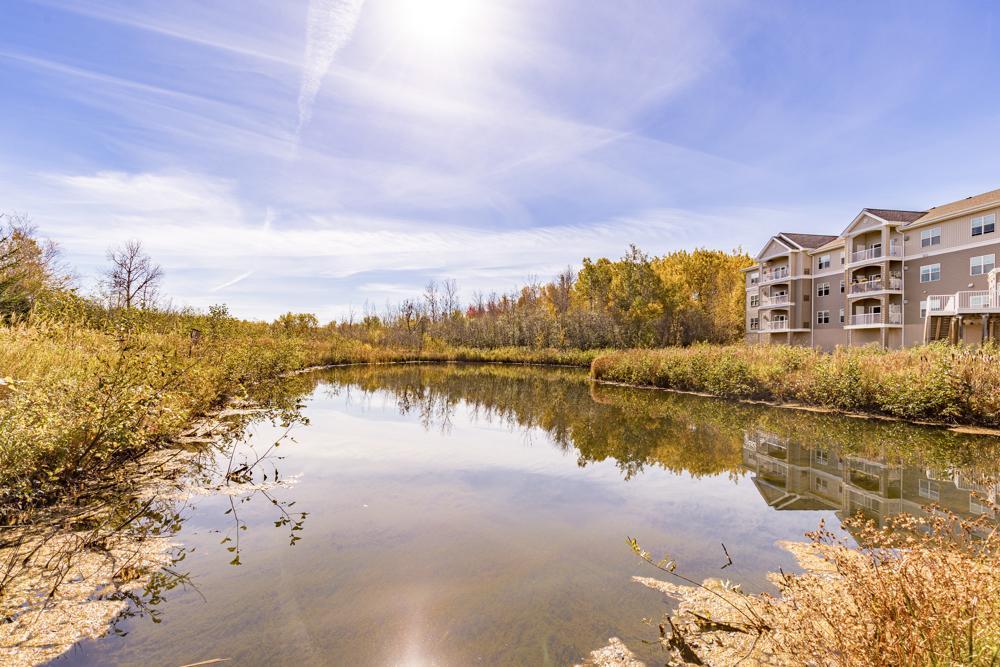 4042 Haines Road Unit: 309