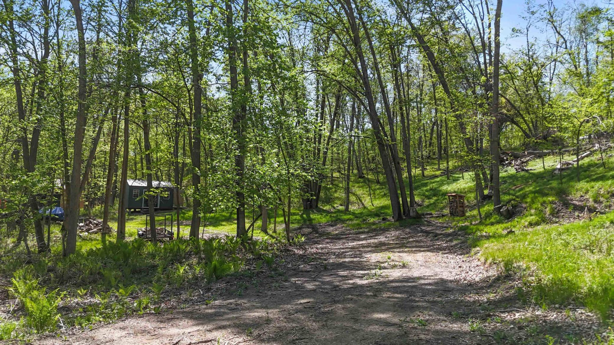 8713 Forest Cove