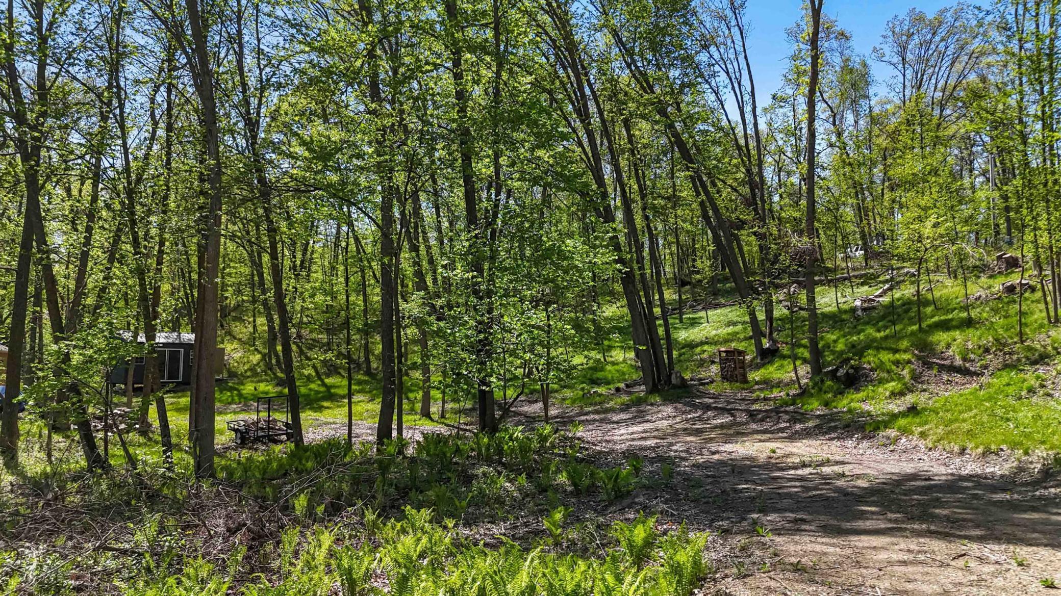 8713 Forest Cove