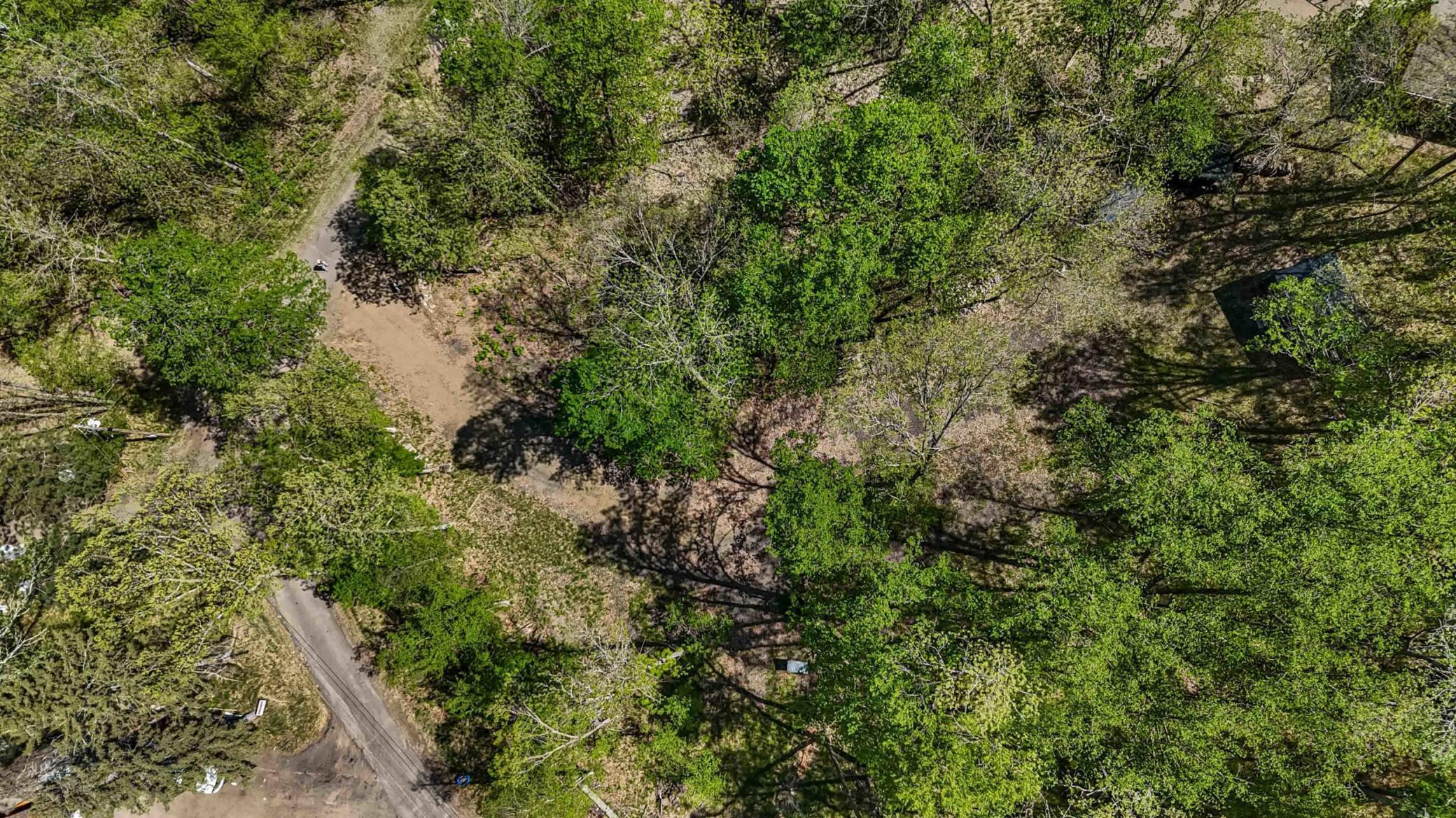 8713 Forest Cove